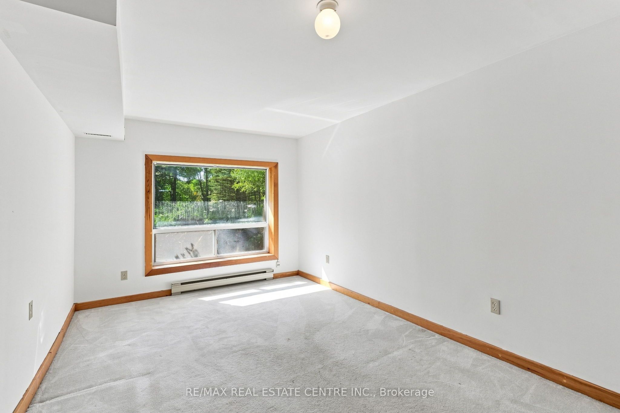 26 Maplewood Drive Property Photo 22