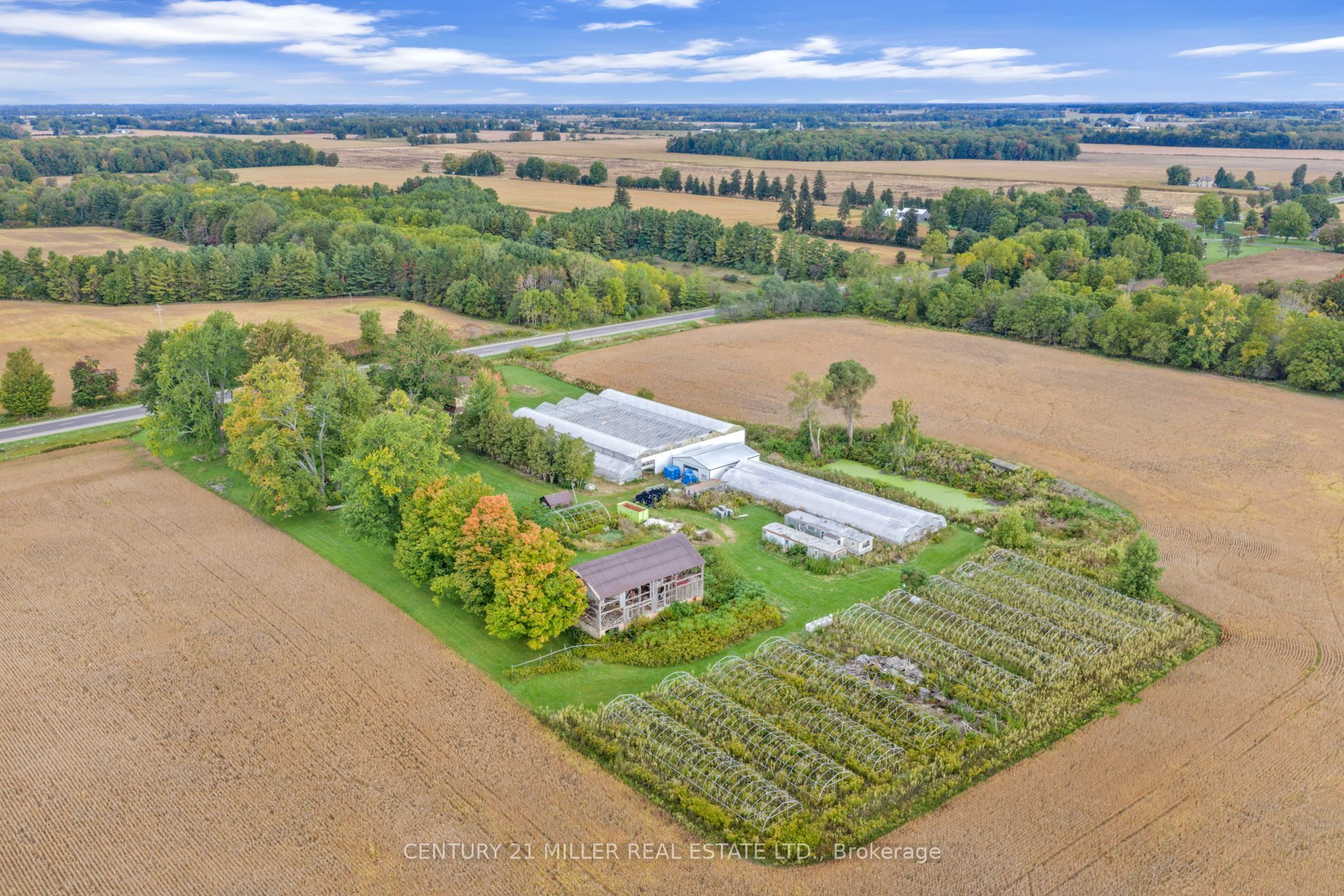 27983 Talbot Line Property Photo 8
