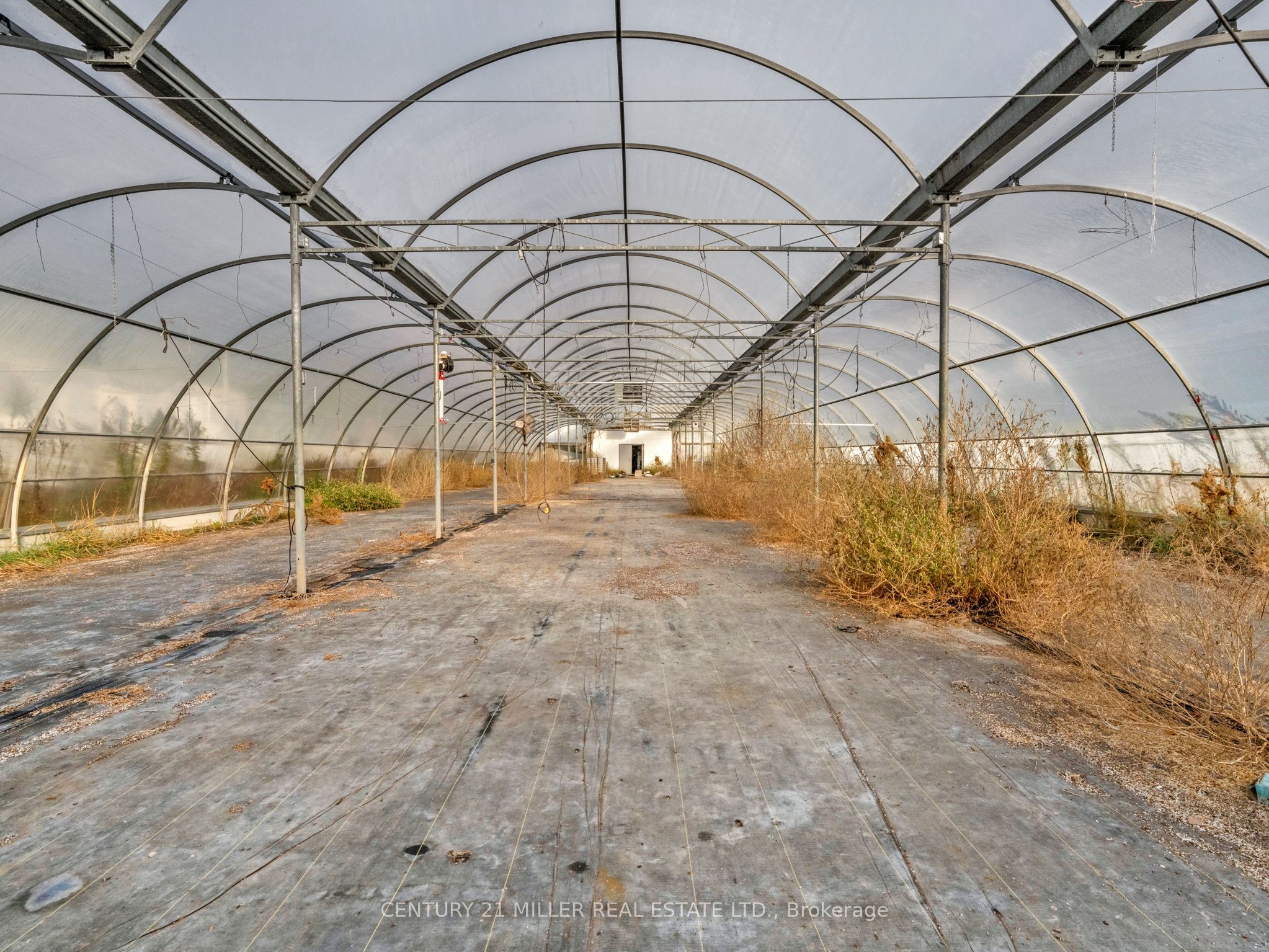 27983 Talbot Line Property Photo 33