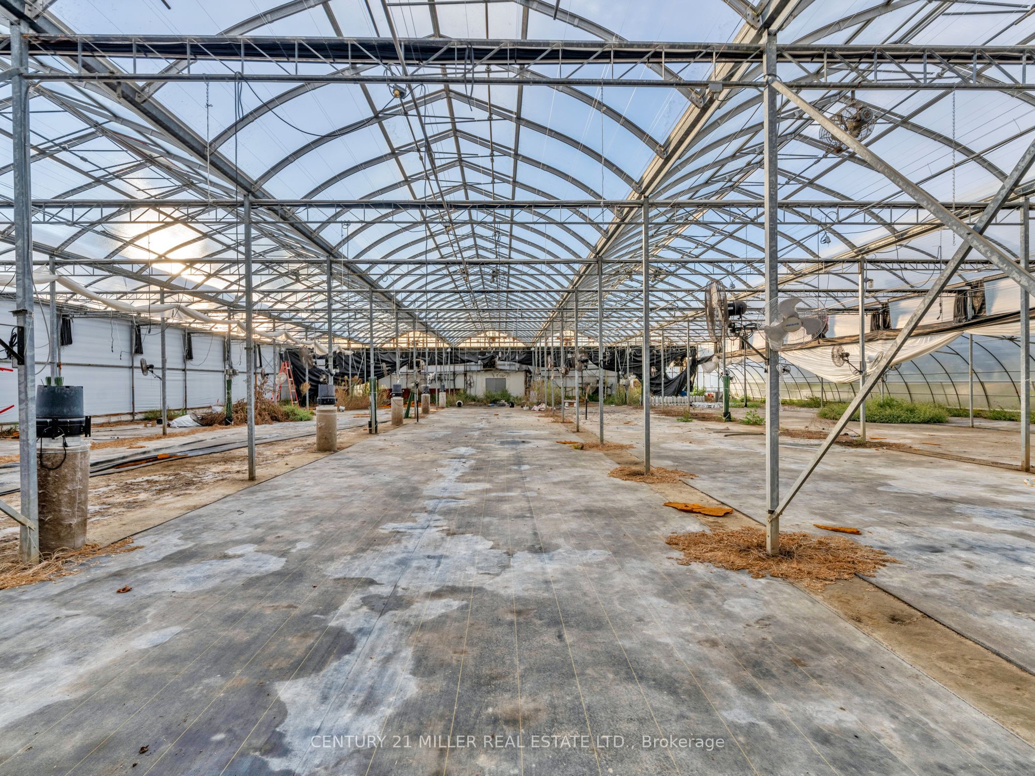 27983 Talbot Line Property Photo 36