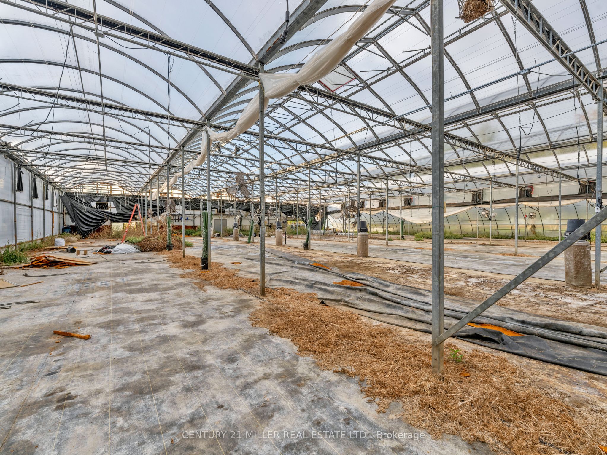27983 Talbot Line Property Photo 37