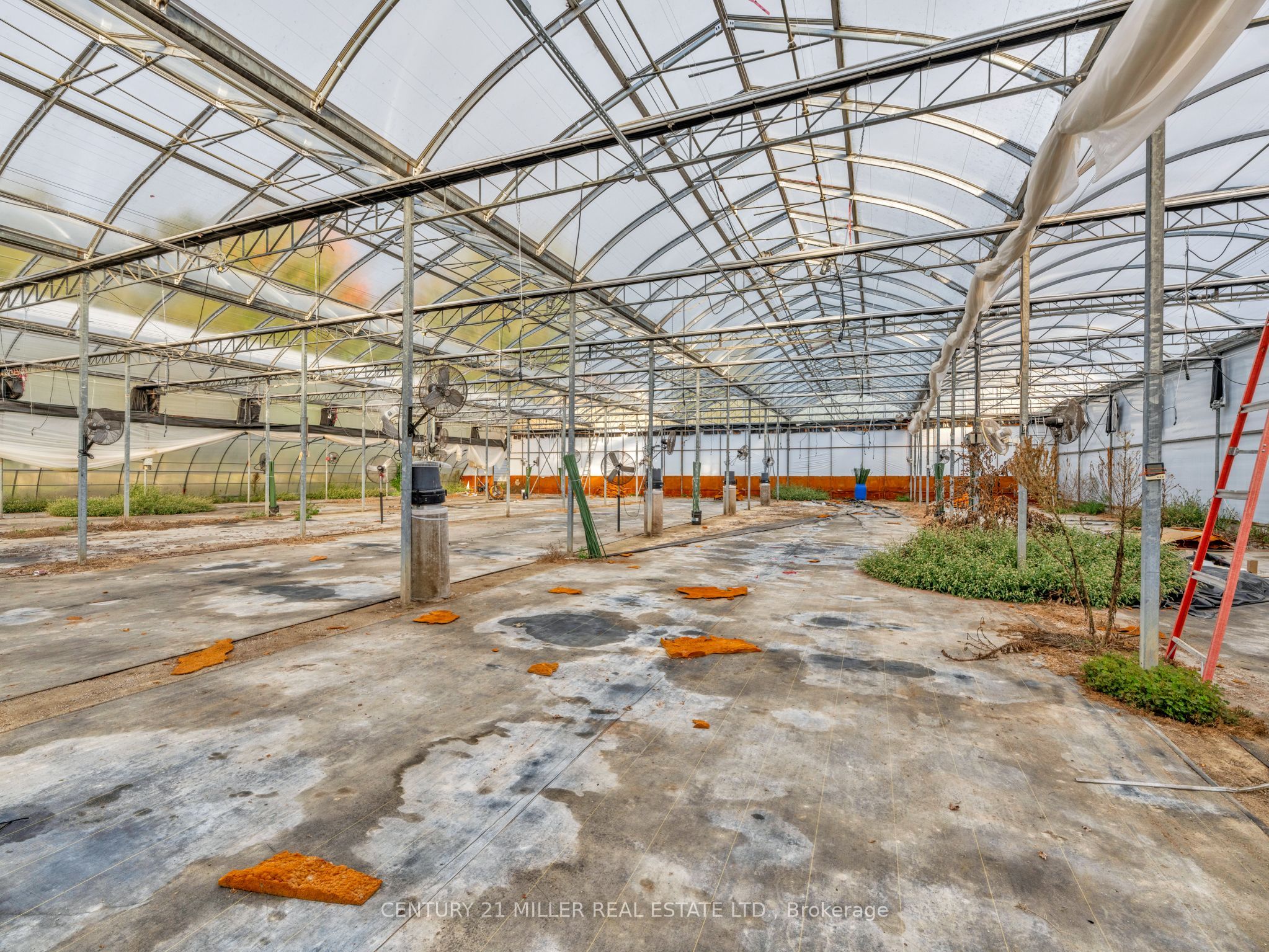 27983 Talbot Line Property Photo 38