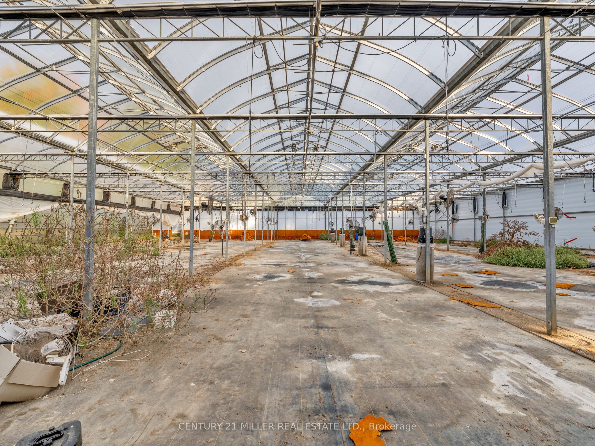 27983 Talbot Line Property Photo 39