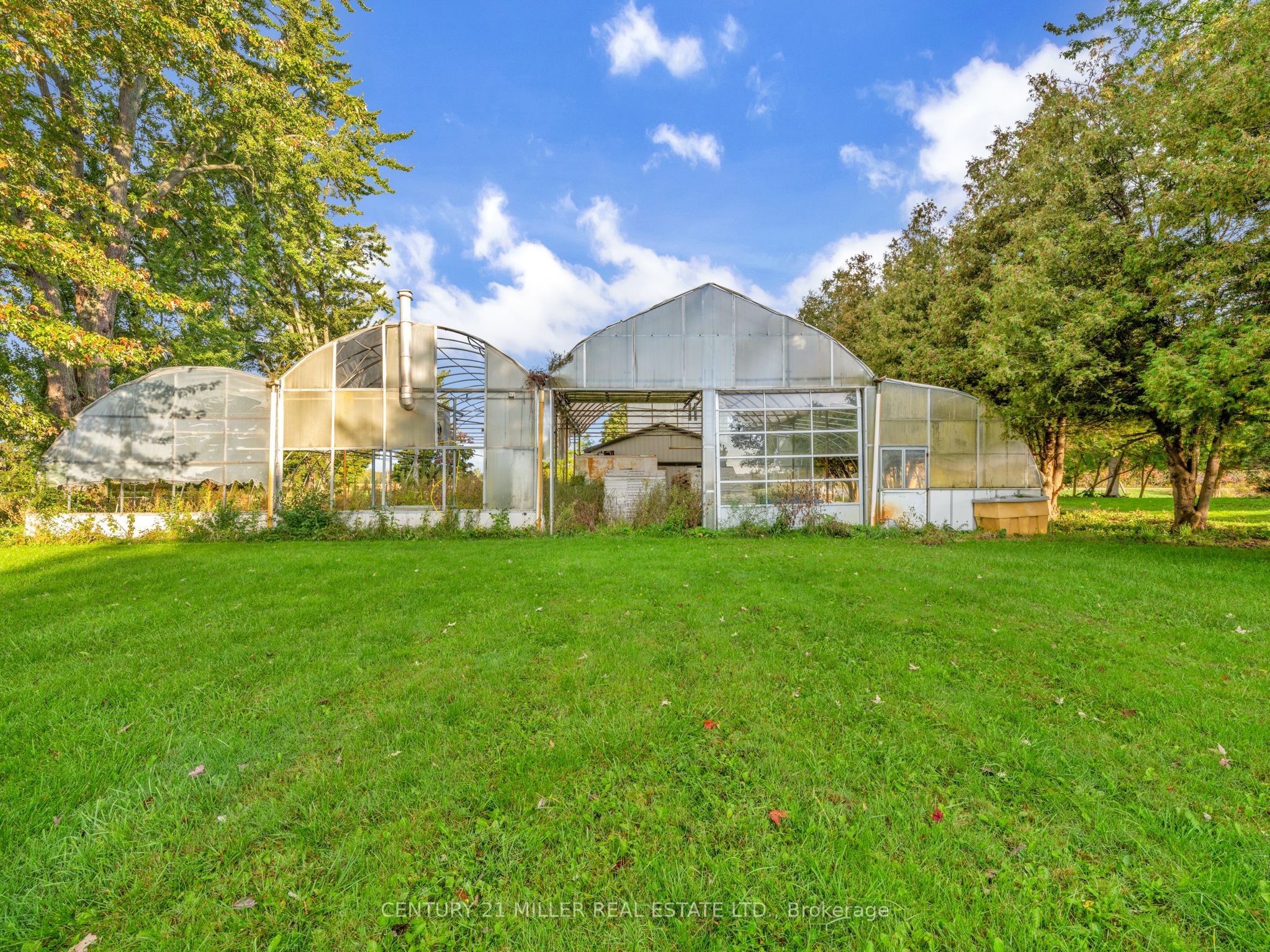 27983 Talbot Line Property Photo 41