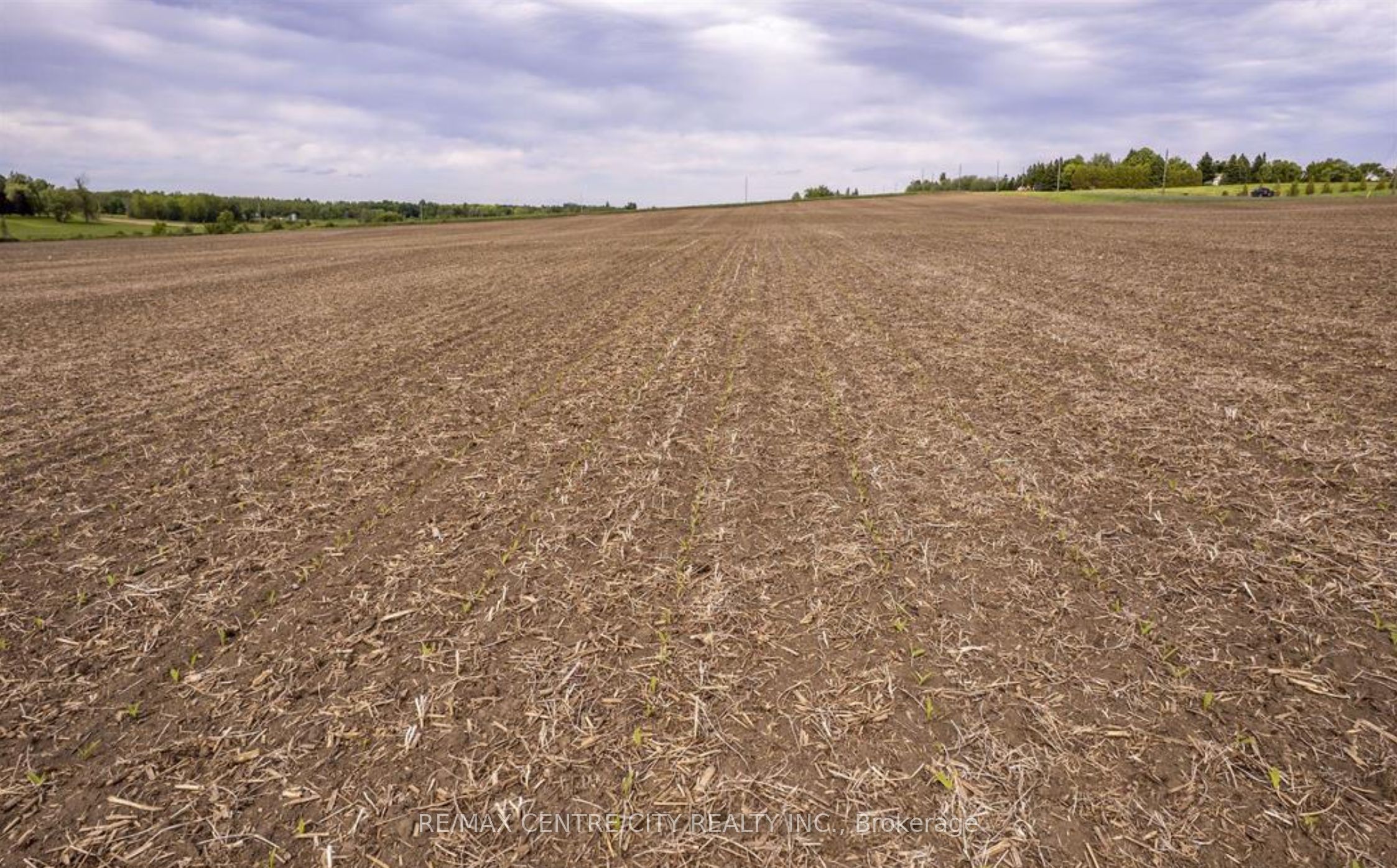 19267 County 25 Road Property Photo 4