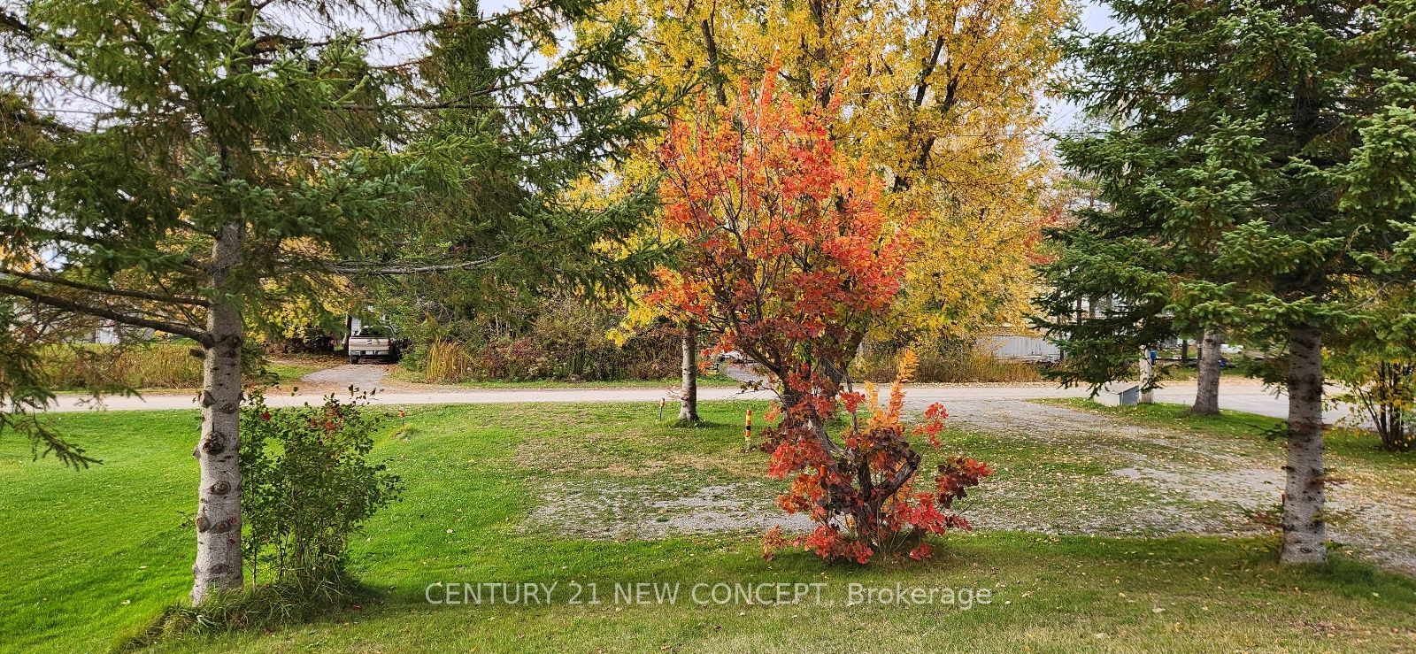 183 Mcguire Beach Road Property Photo 15