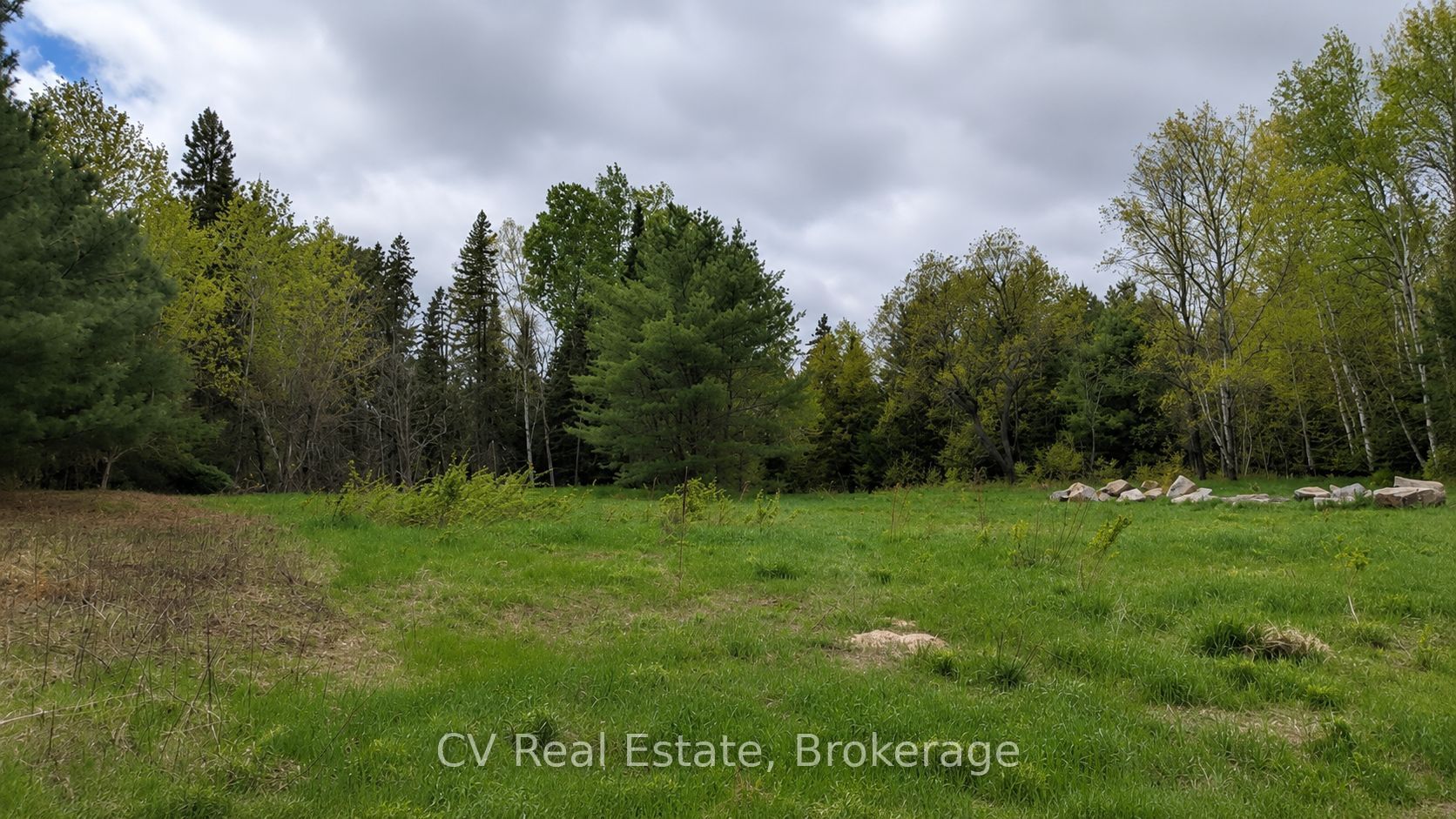 78 Chaffey Township Road Property Photo 3
