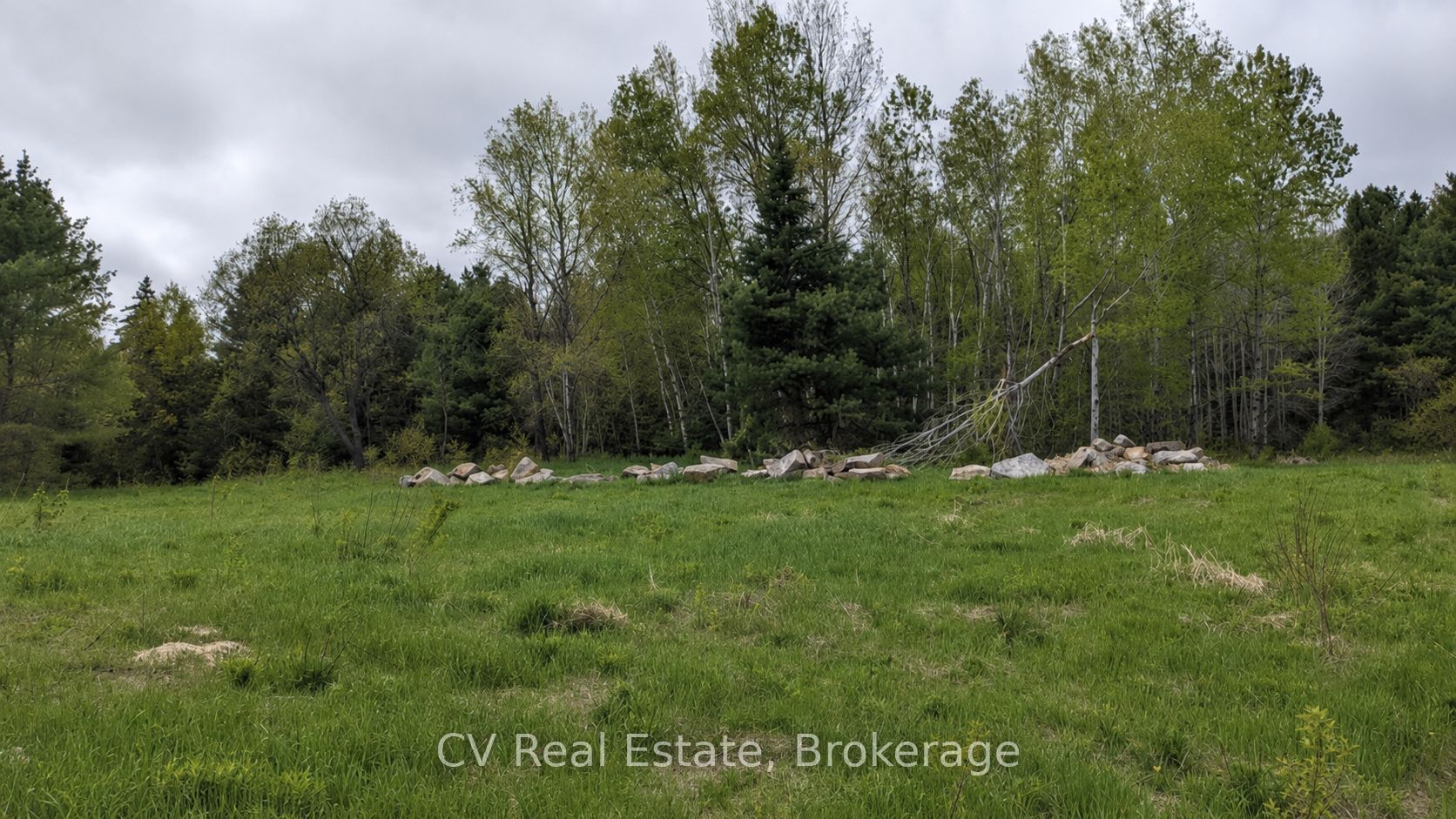 78 Chaffey Township Road Property Photo 4