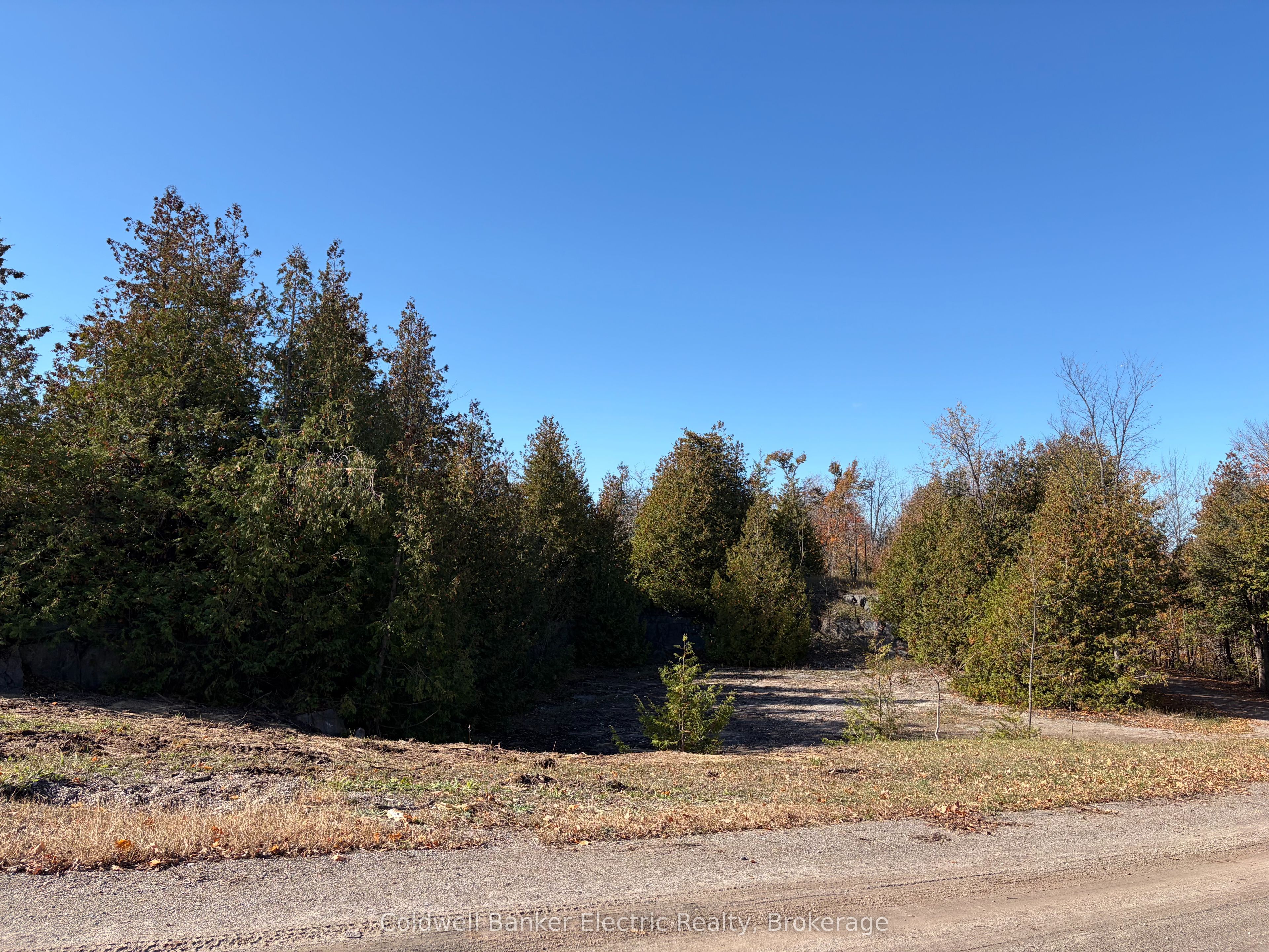 237 Tower Road Property Photo 4
