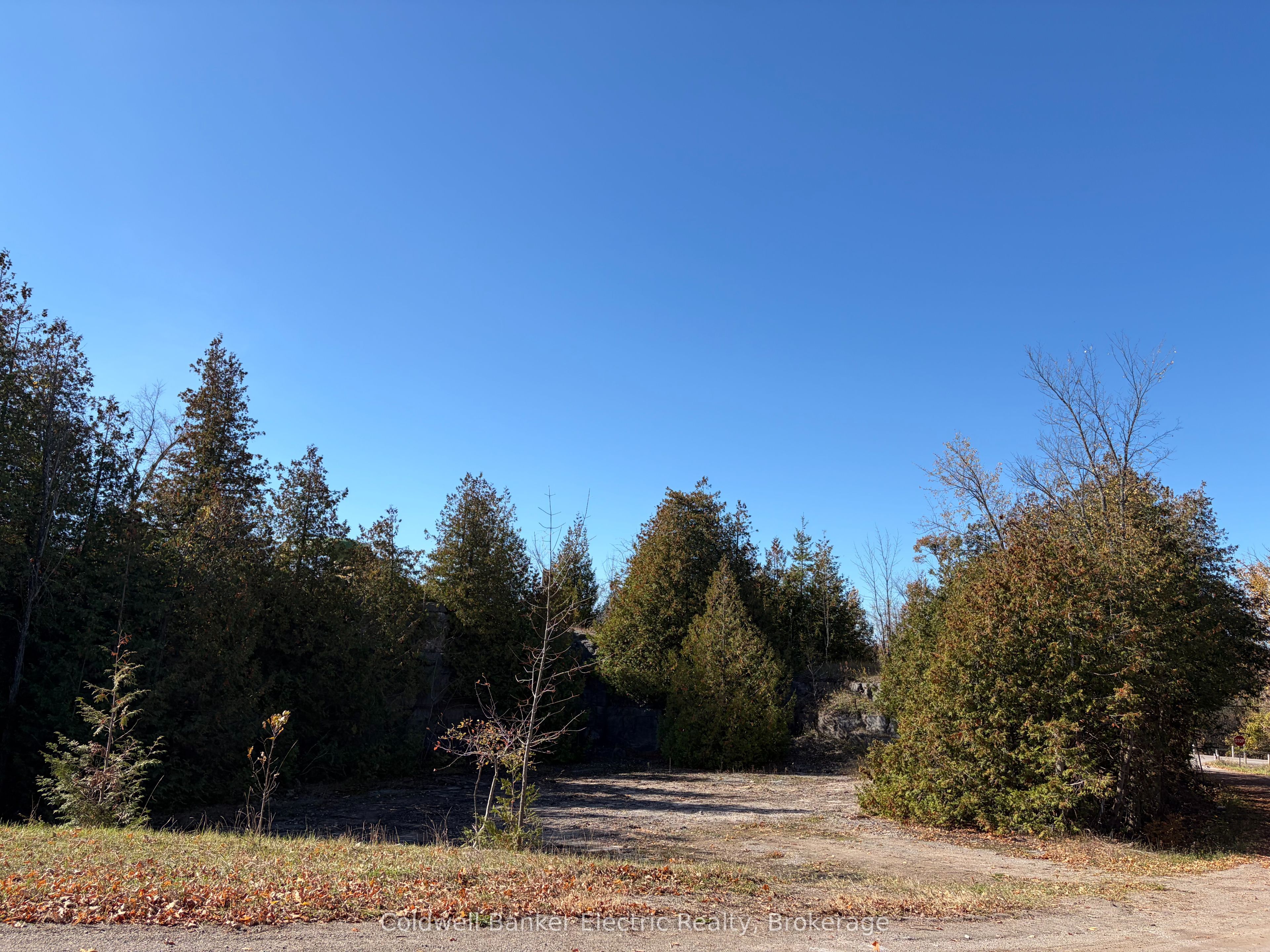 237 Tower Road Property Photo 5