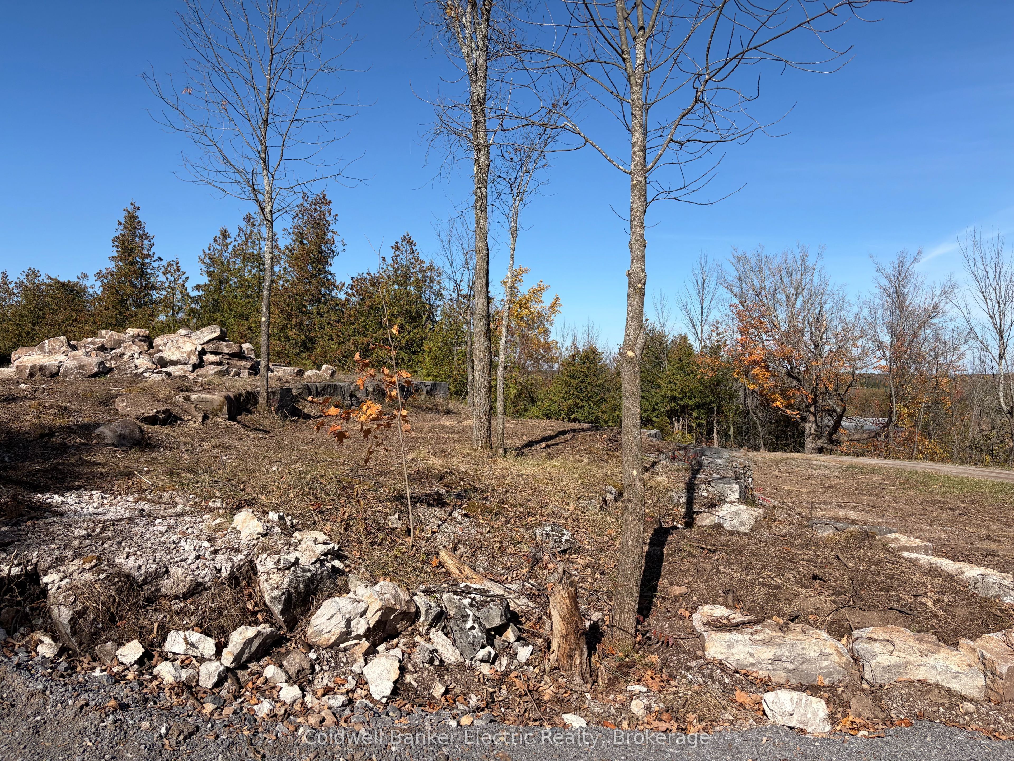 237 Tower Road Property Photo 6