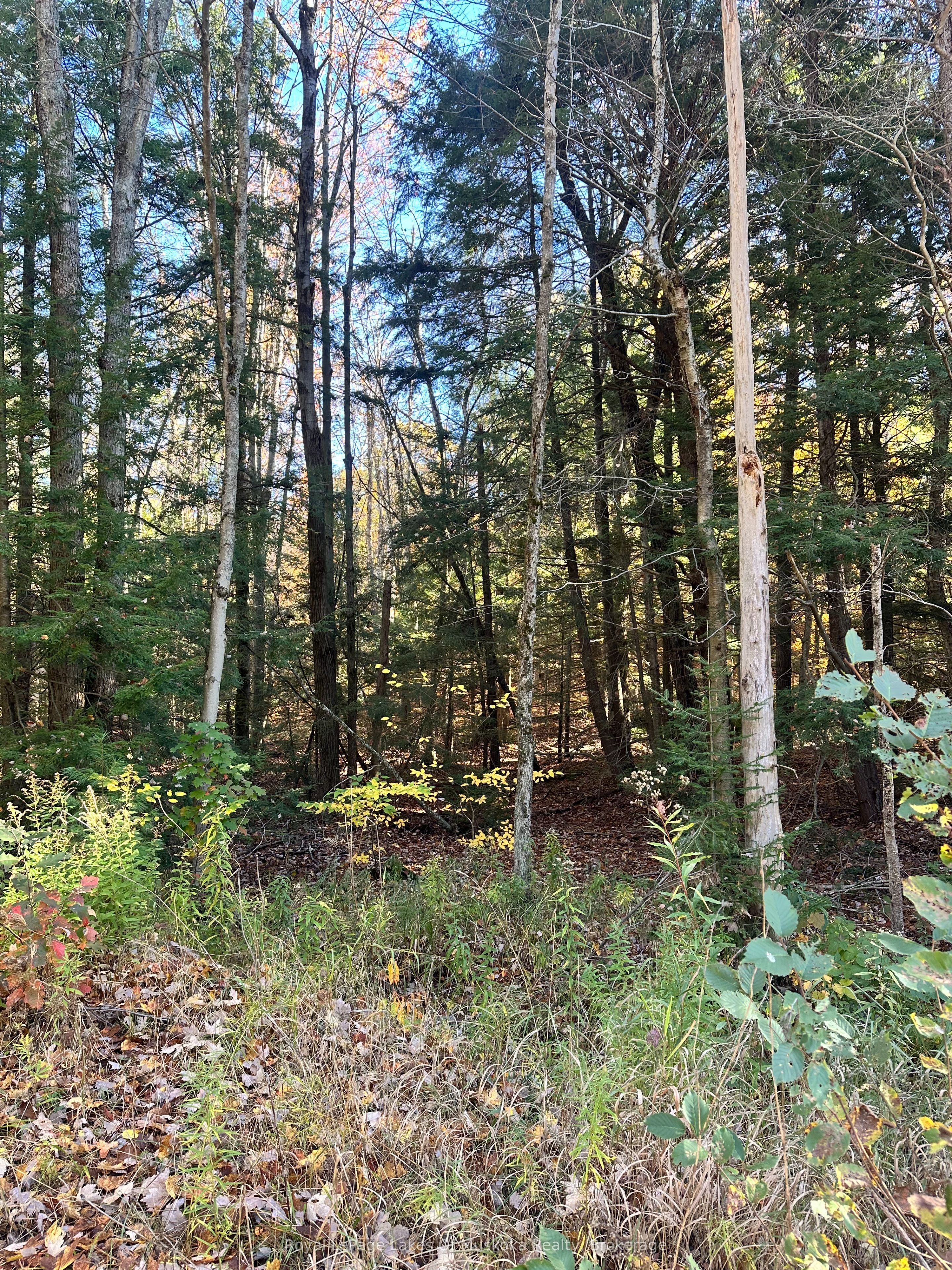 1101 Doe Lake Road Property Photo 2
