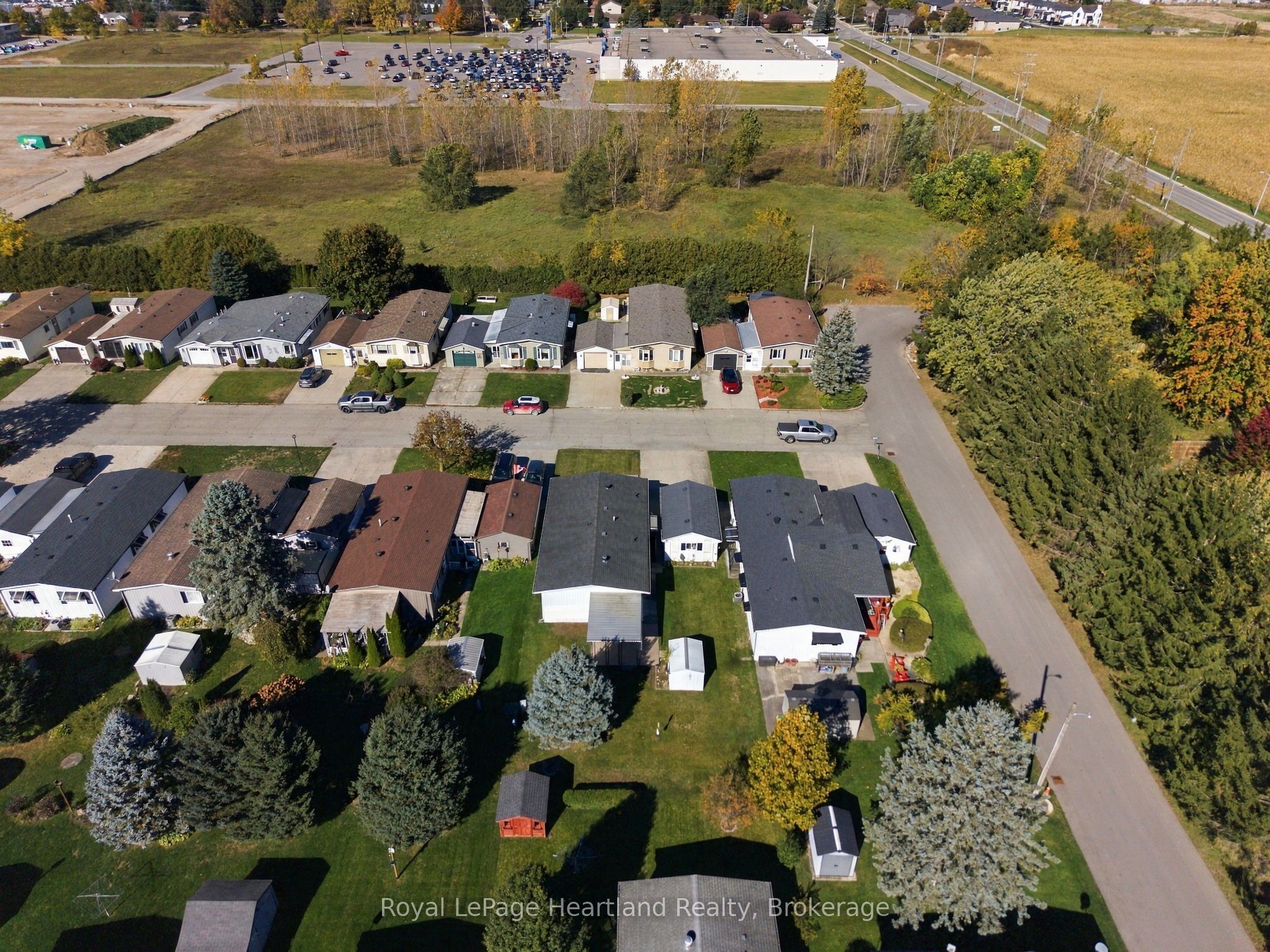 38 Miller Street Property Photo 45