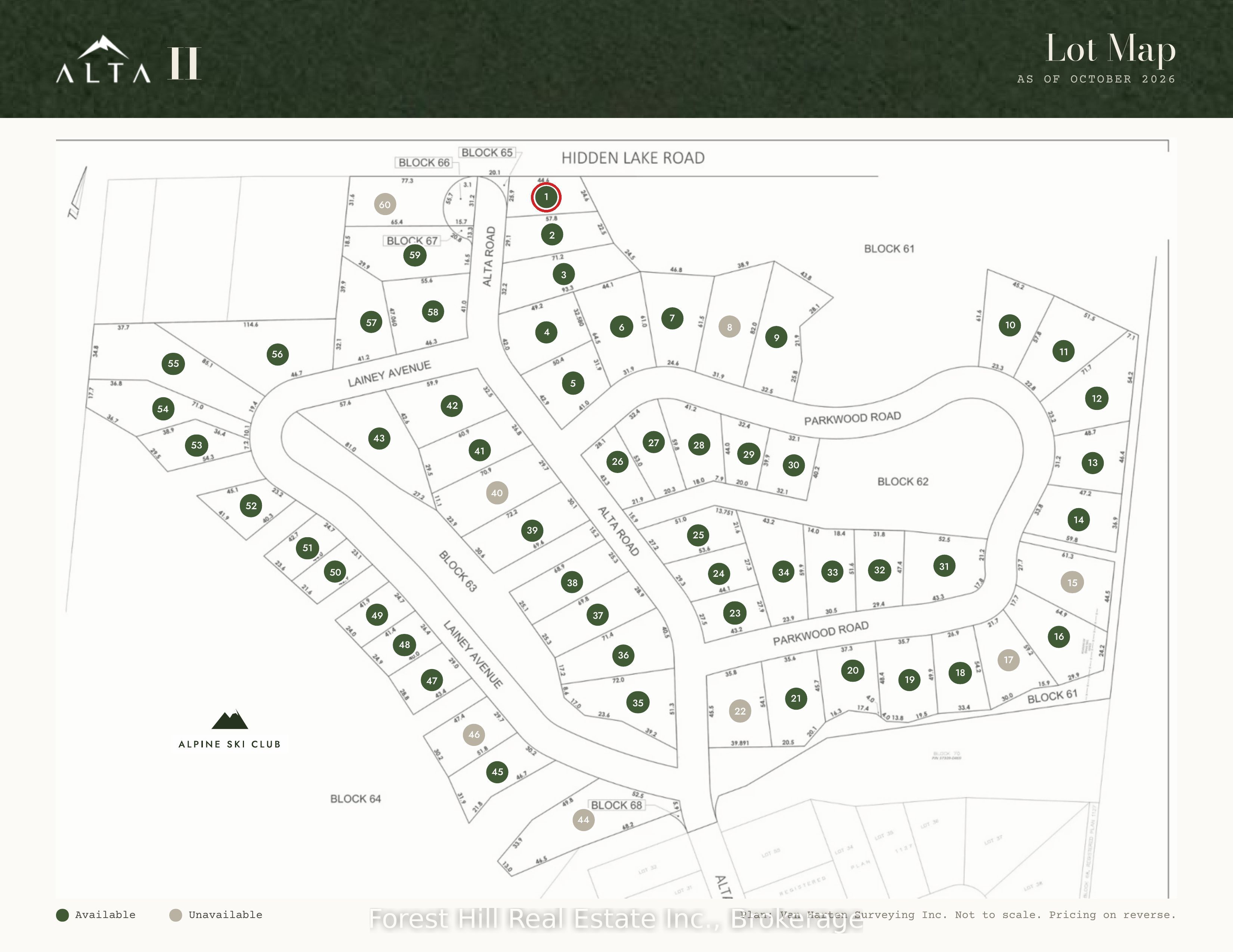 Lot 1 Alta Road Property Photo 3