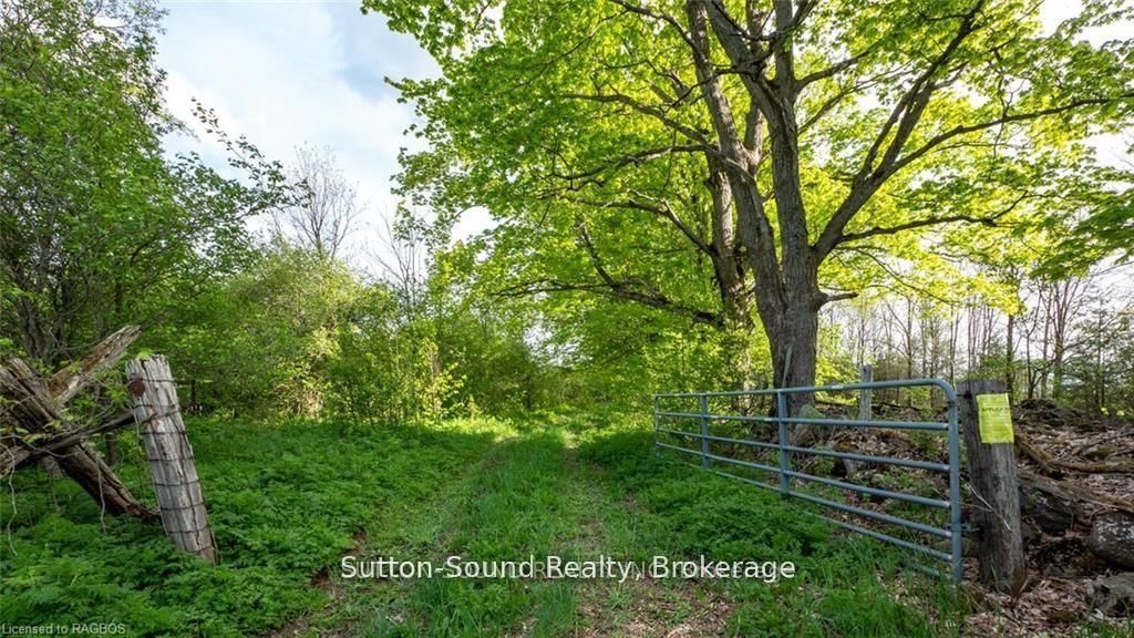 Lot 34 Dawson Road Property Photo 3