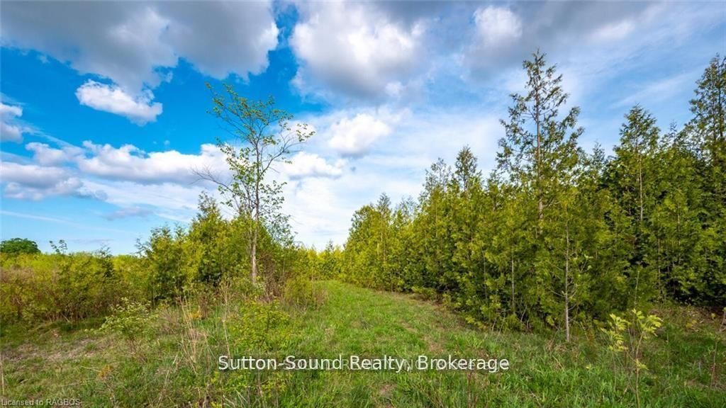 Lot 34 Dawson Road Property Photo 4