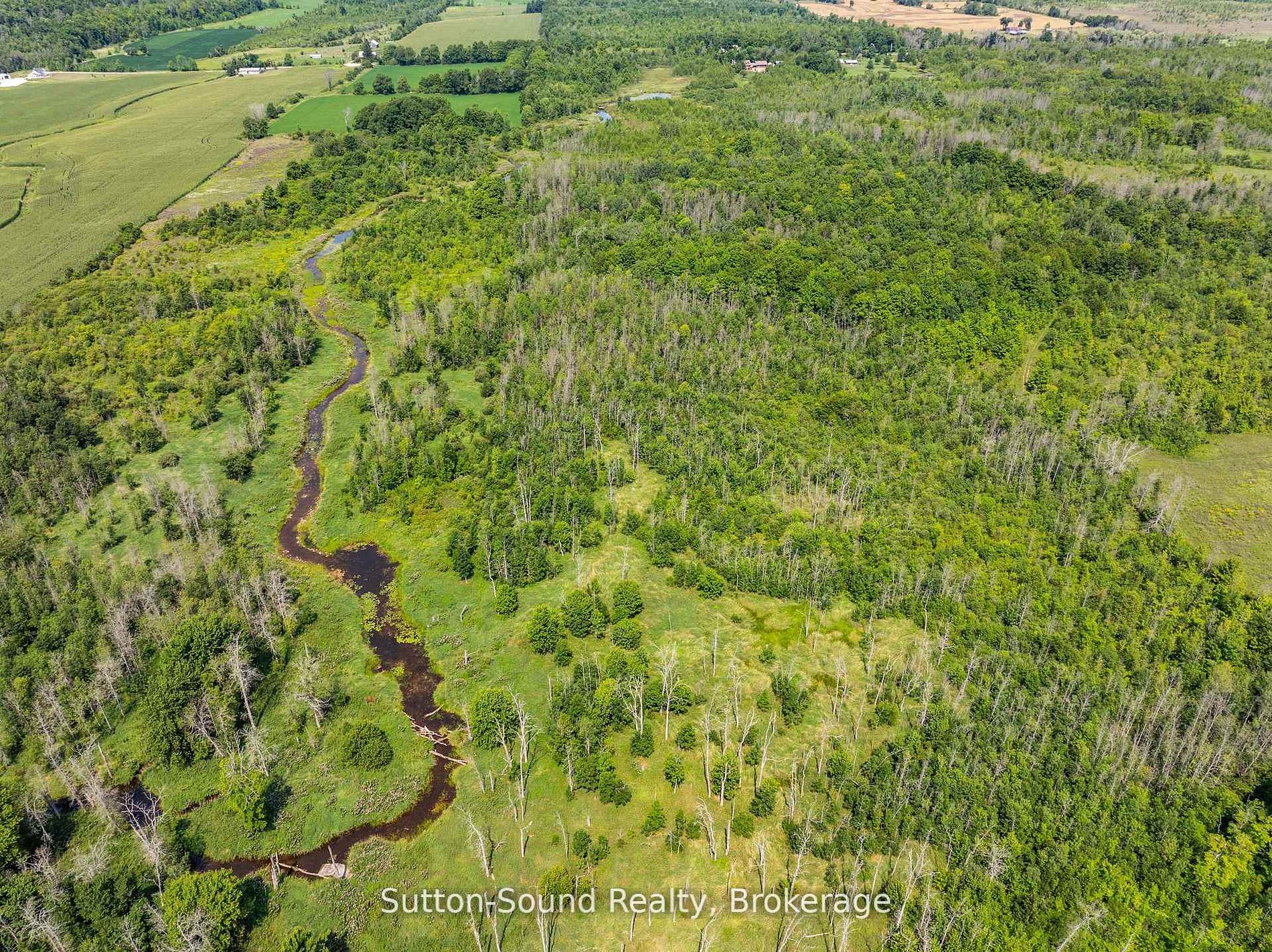 Lot 34 Dawson Road Property Photo 5