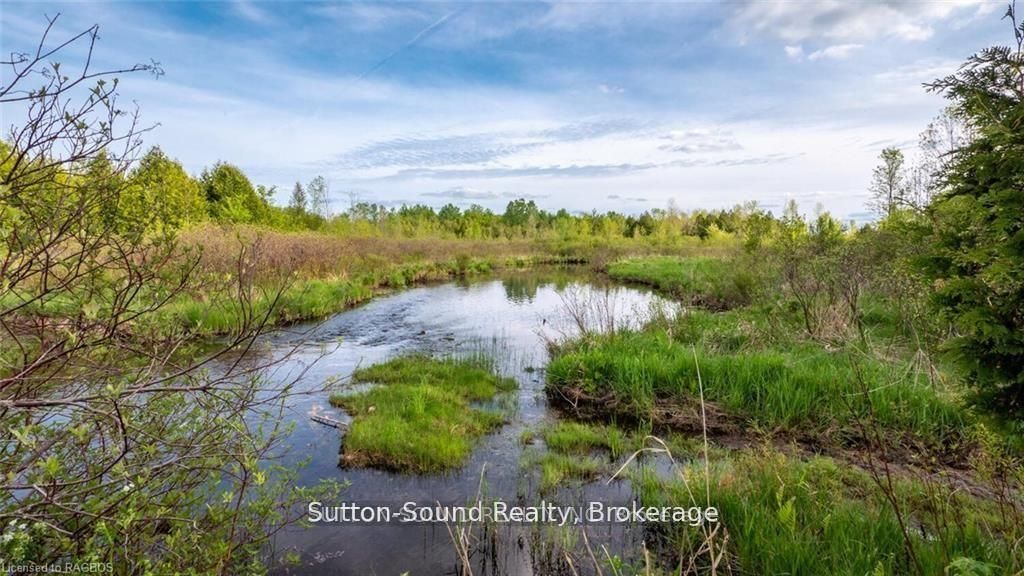 Lot 34 Dawson Road Property Photo 6