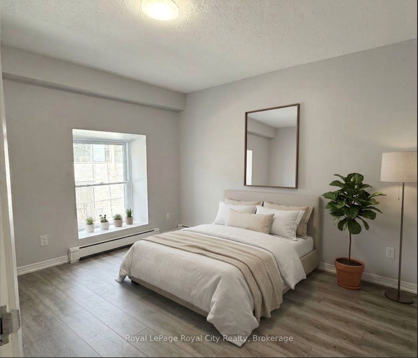 116 Wyndham Street 2 Property Photo 3