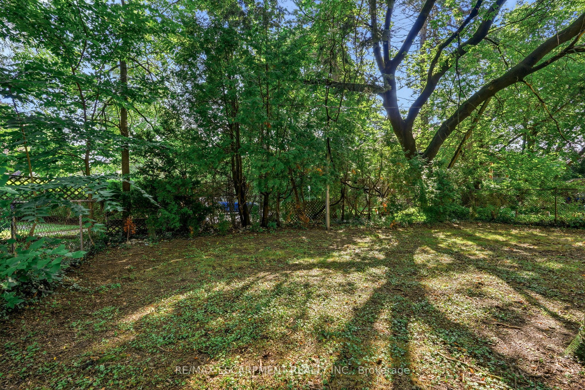 13 Allan Avenue Property Photo 22