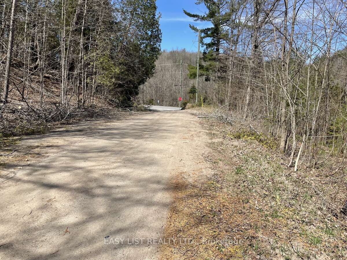 Lot 1 Colonial Road Property Photo 3