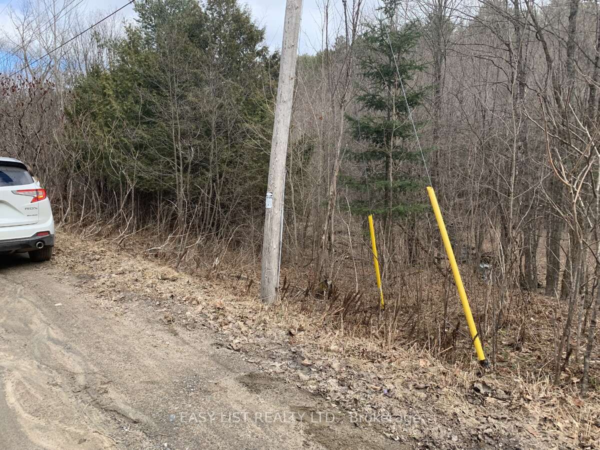Lot 1 Colonial Road Property Photo 4