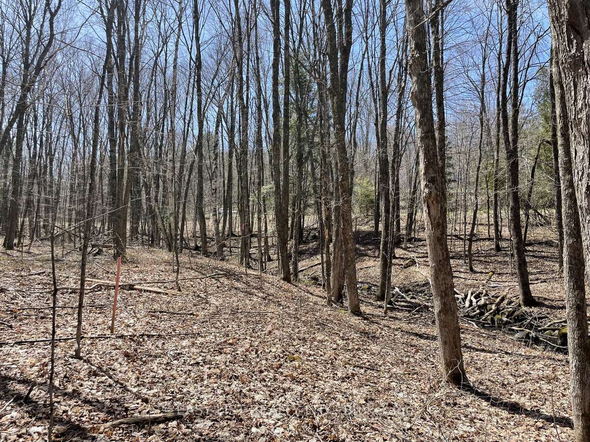 Lot 1 Colonial Road Property Photo 5