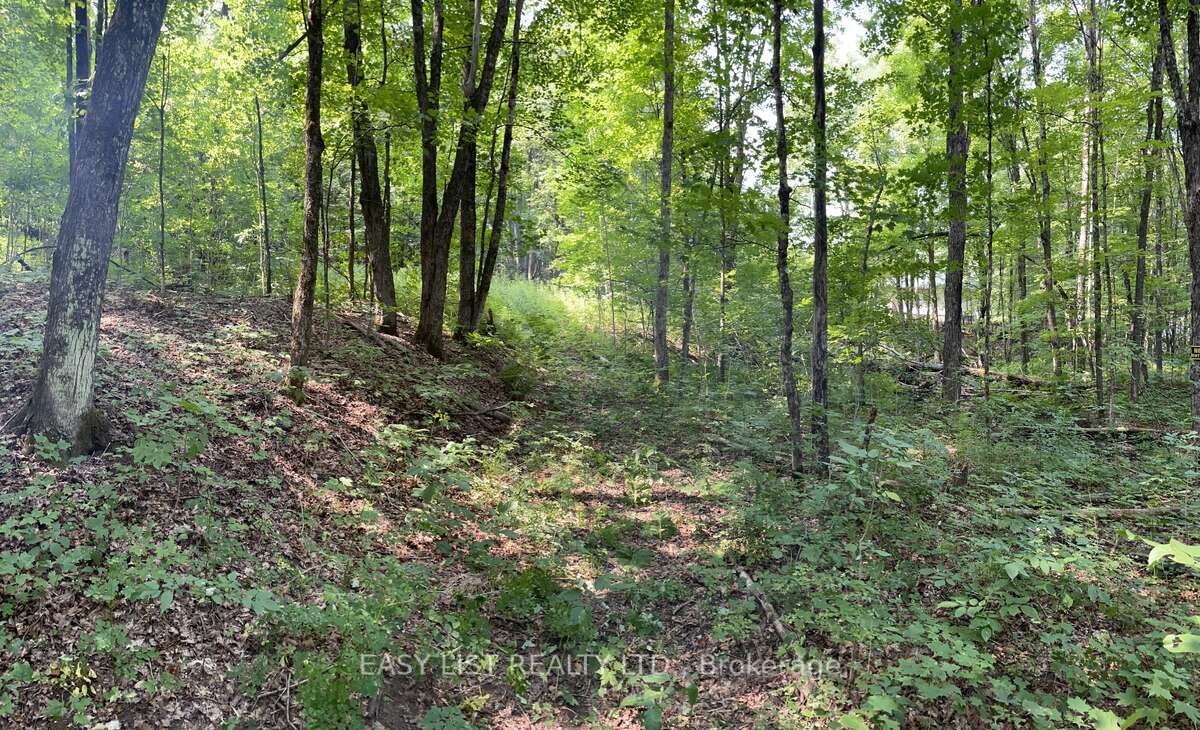 Lot 1 Colonial Road Property Photo 6