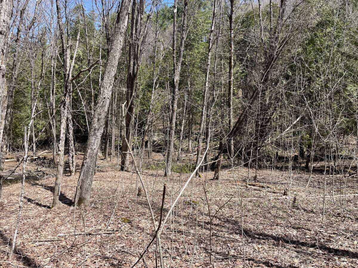 Lot 1 Colonial Road Property Photo 8