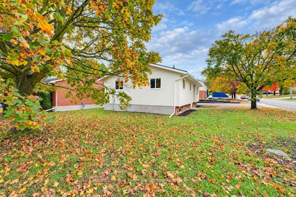 15 George Street Property Photo 30