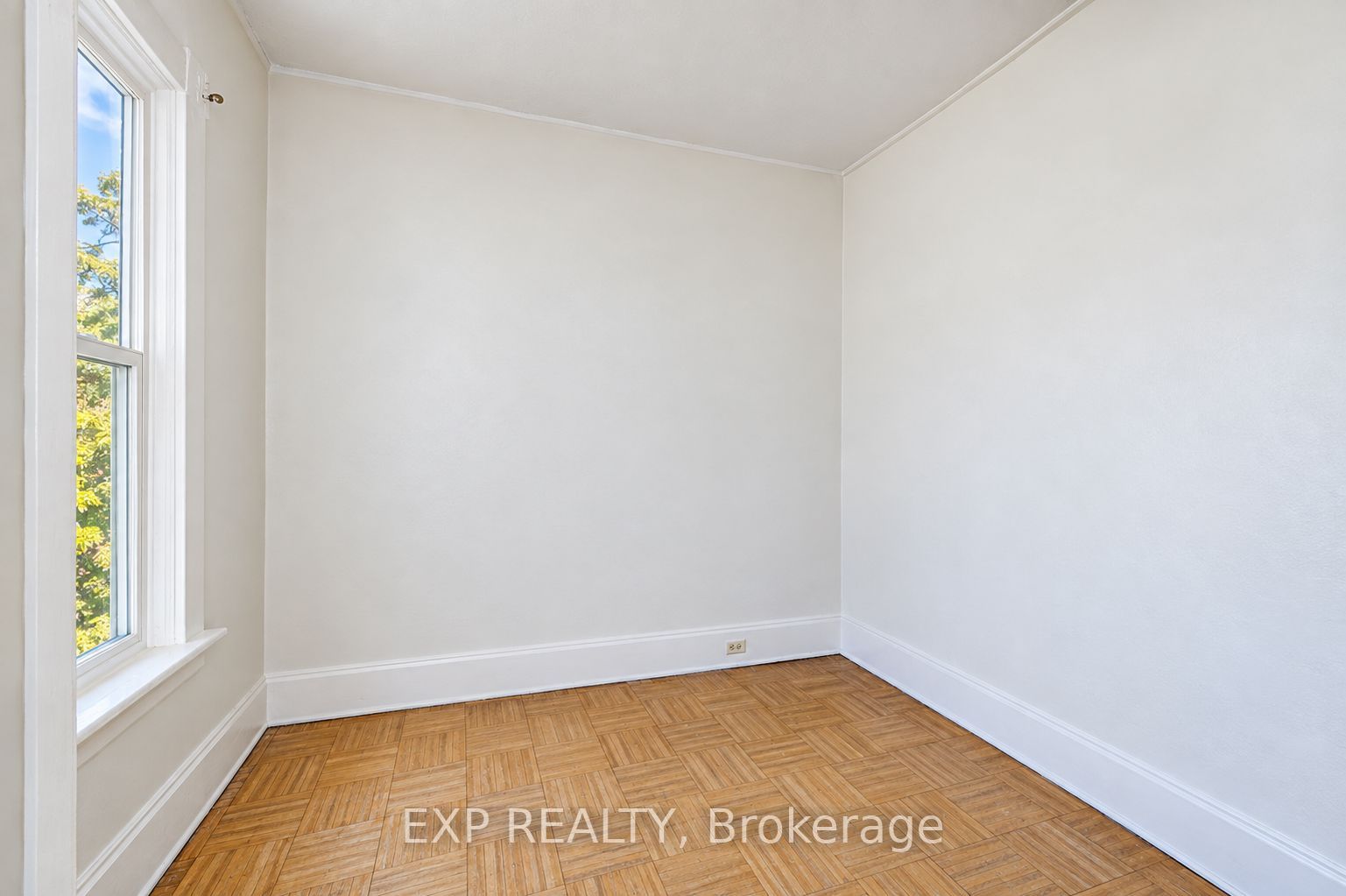 46 Maitland Street Property Photo 6