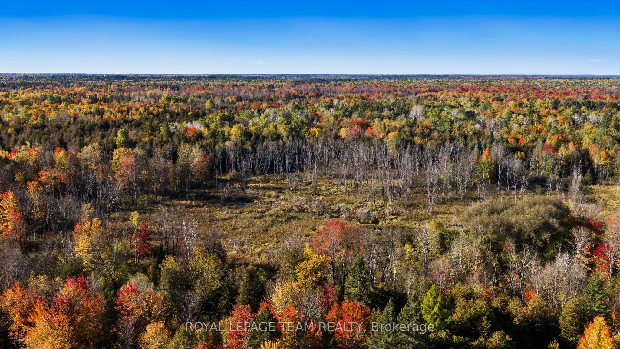 1861 Bearhill Road Property Photo 8