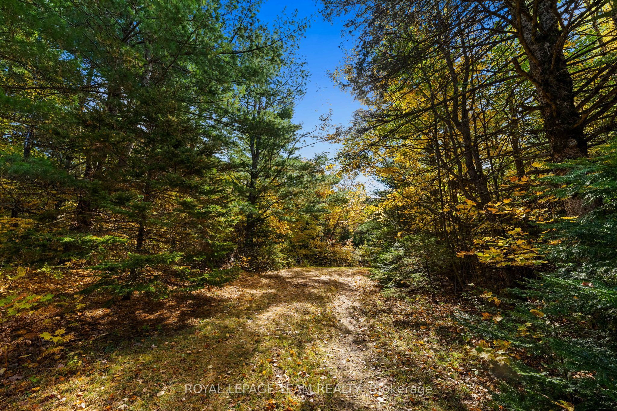 1861 Bearhill Road Property Photo 15