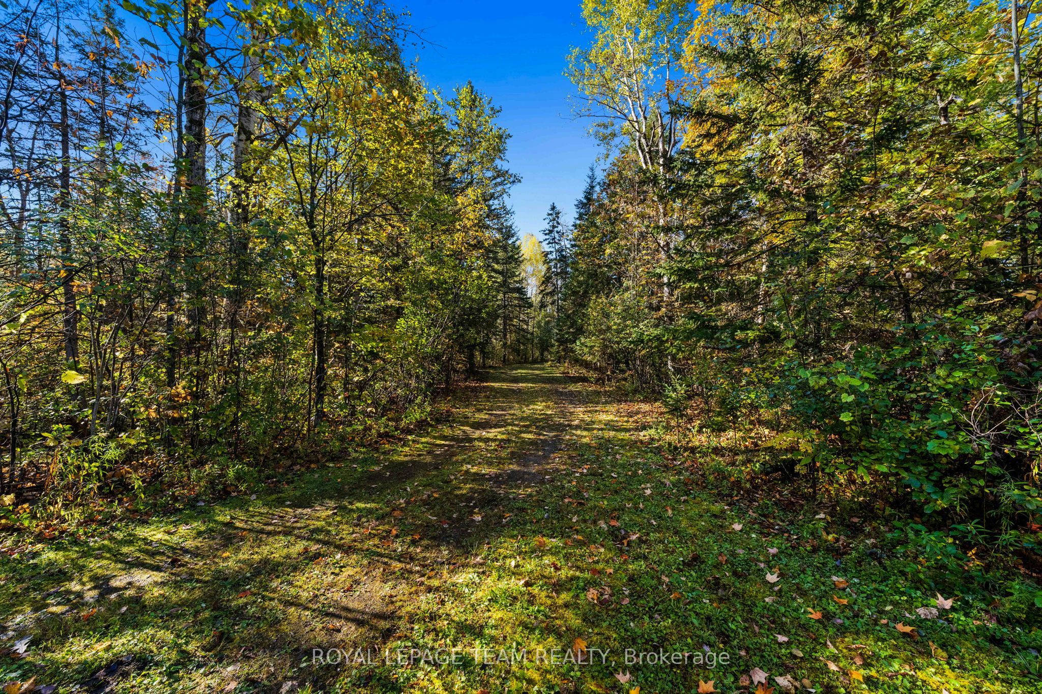 1861 Bearhill Road Property Photo 18