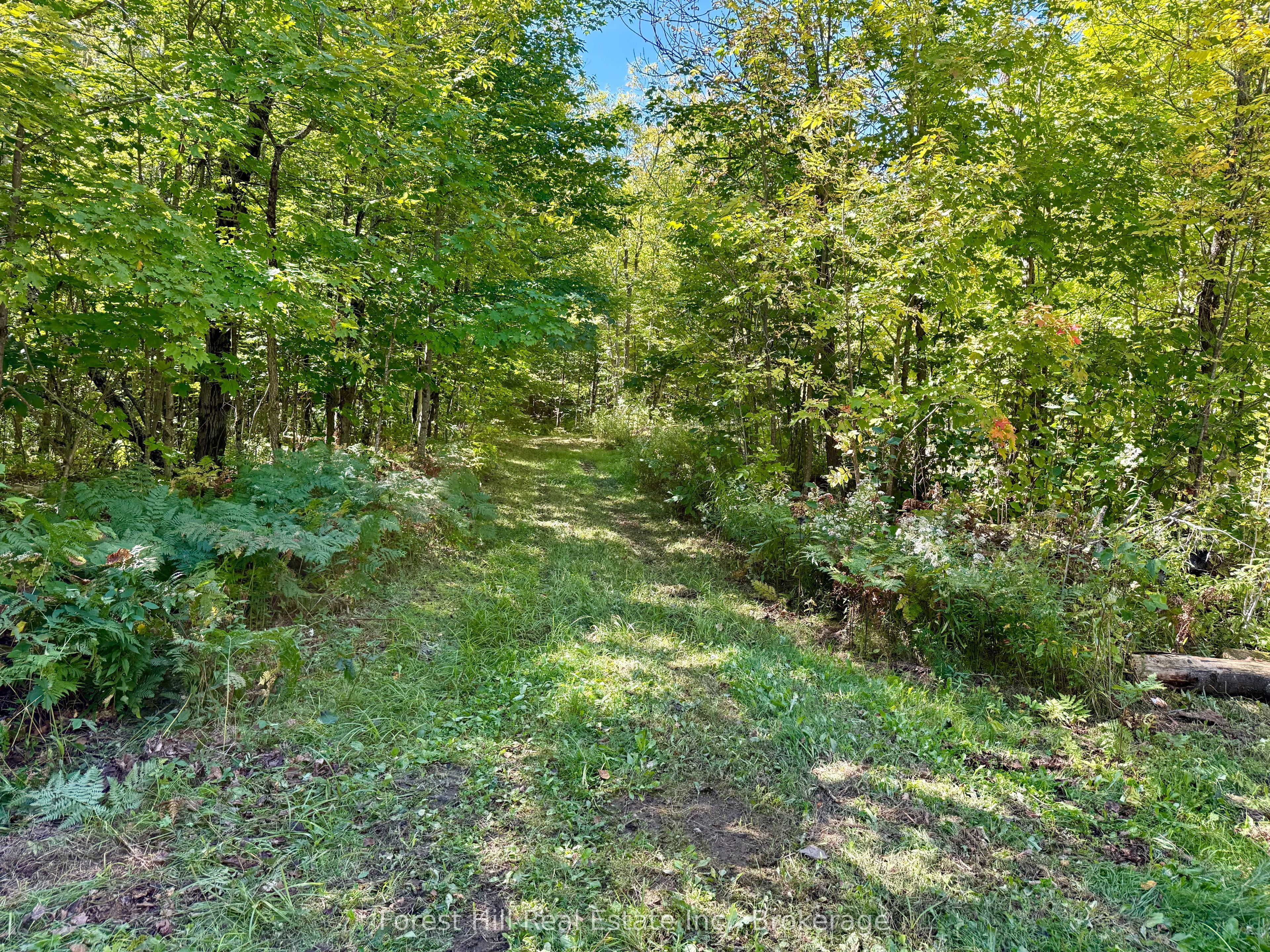 27 Murphy Drive Property Photo 9