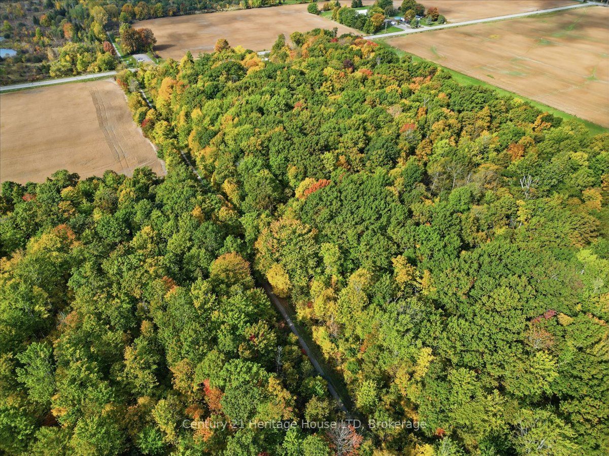 Part Lot 19 Property Photo 4