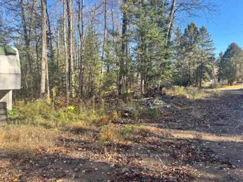 68 Mag View Drive Property Photo 3