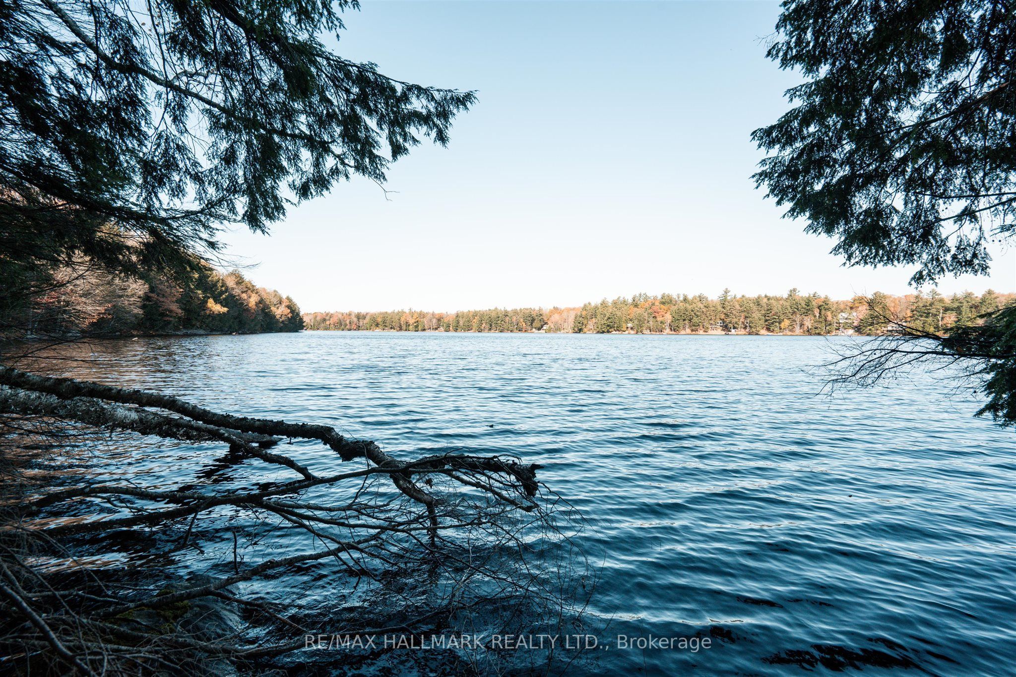 1310 Camel Lake Road Unit 11 Lot 5 Property Photo 1