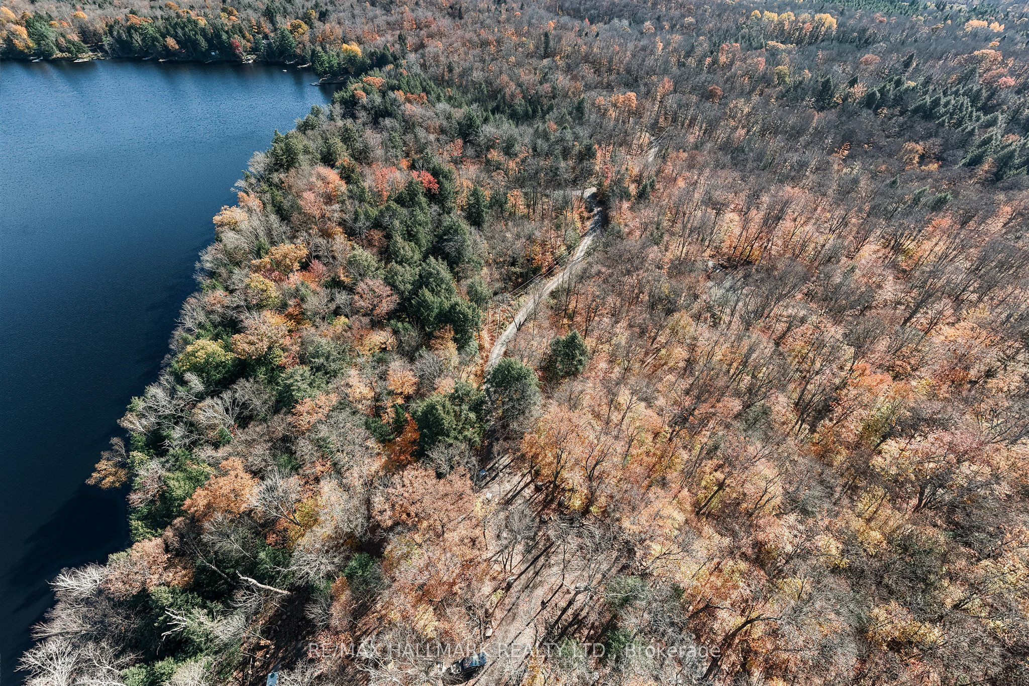 1310 Camel Lake Road Unit 11 Lot 5 Property Photo 2