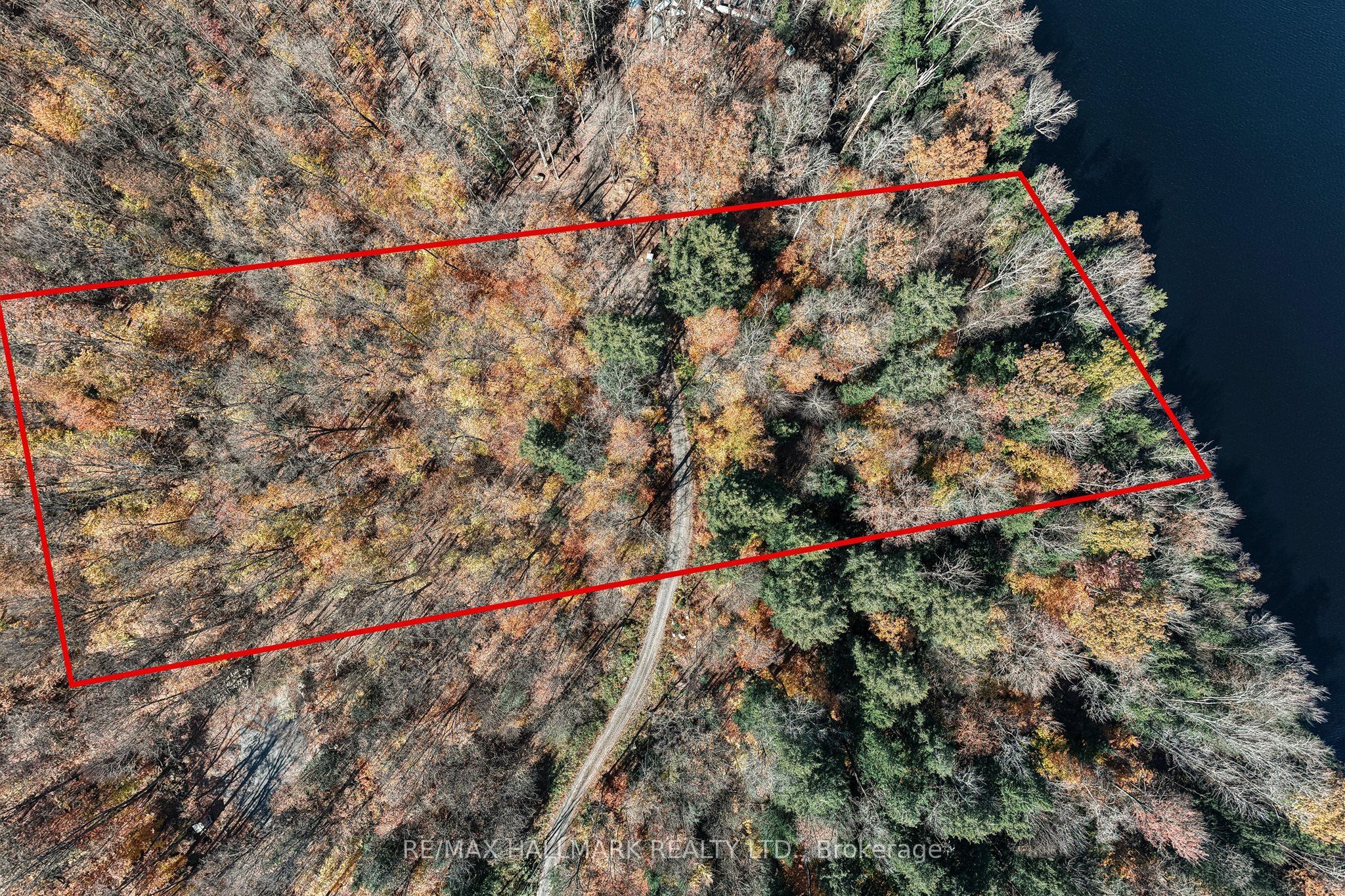 1310 Camel Lake Road Unit 11 Lot 5 Property Photo 6