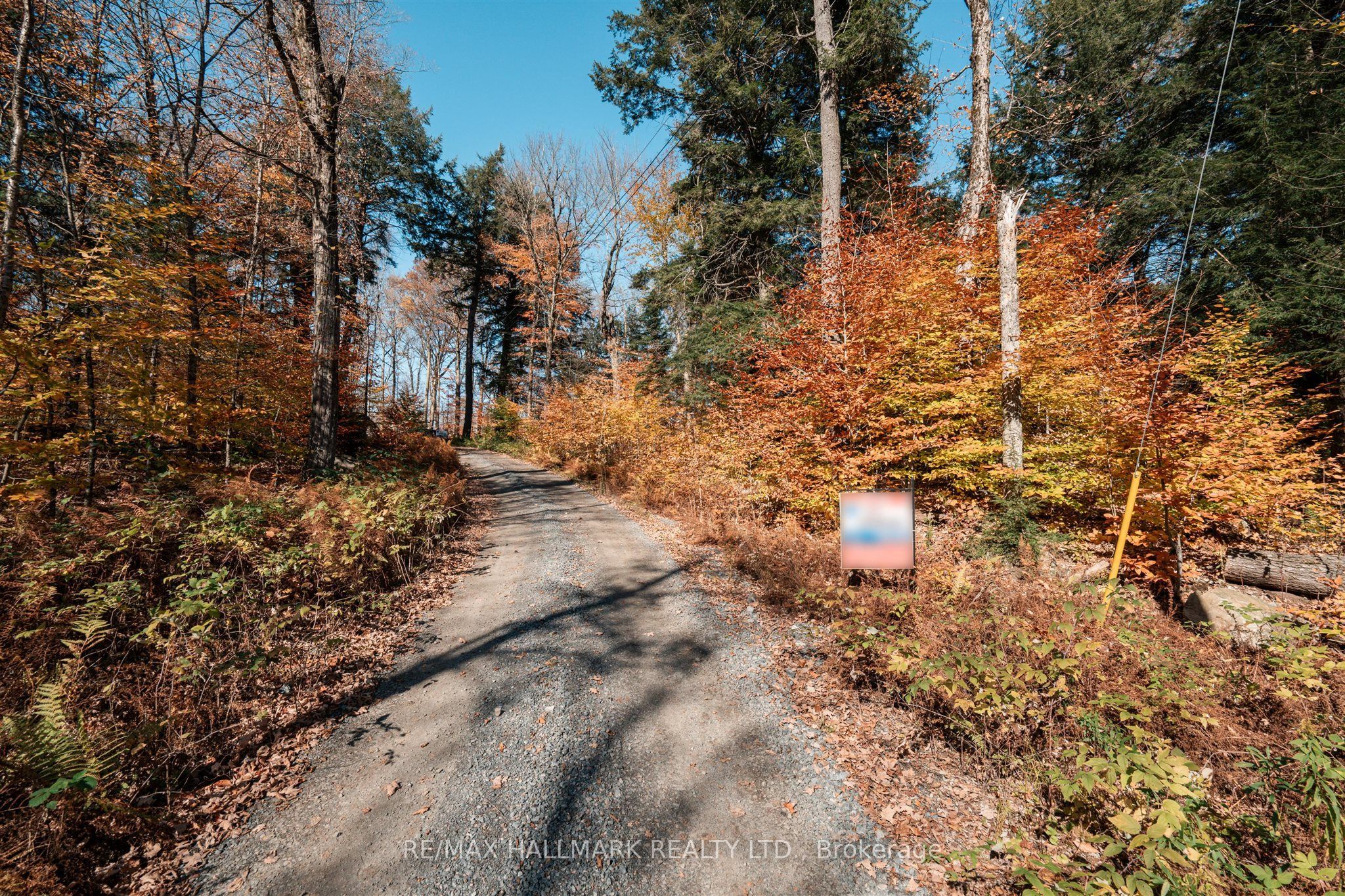 1310 Camel Lake Road Unit 11 Lot 5 Property Photo 7