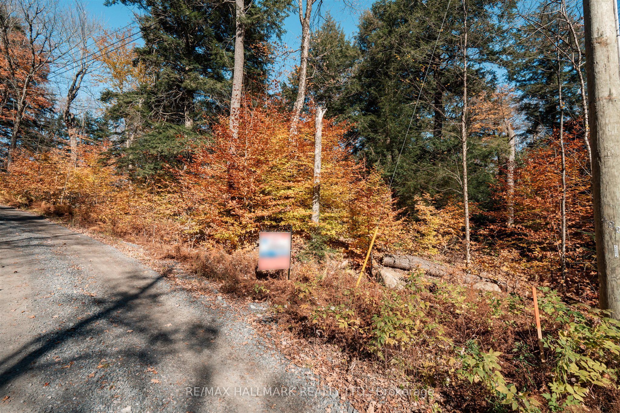 1310 Camel Lake Road Unit 11 Lot 5 Property Photo 8