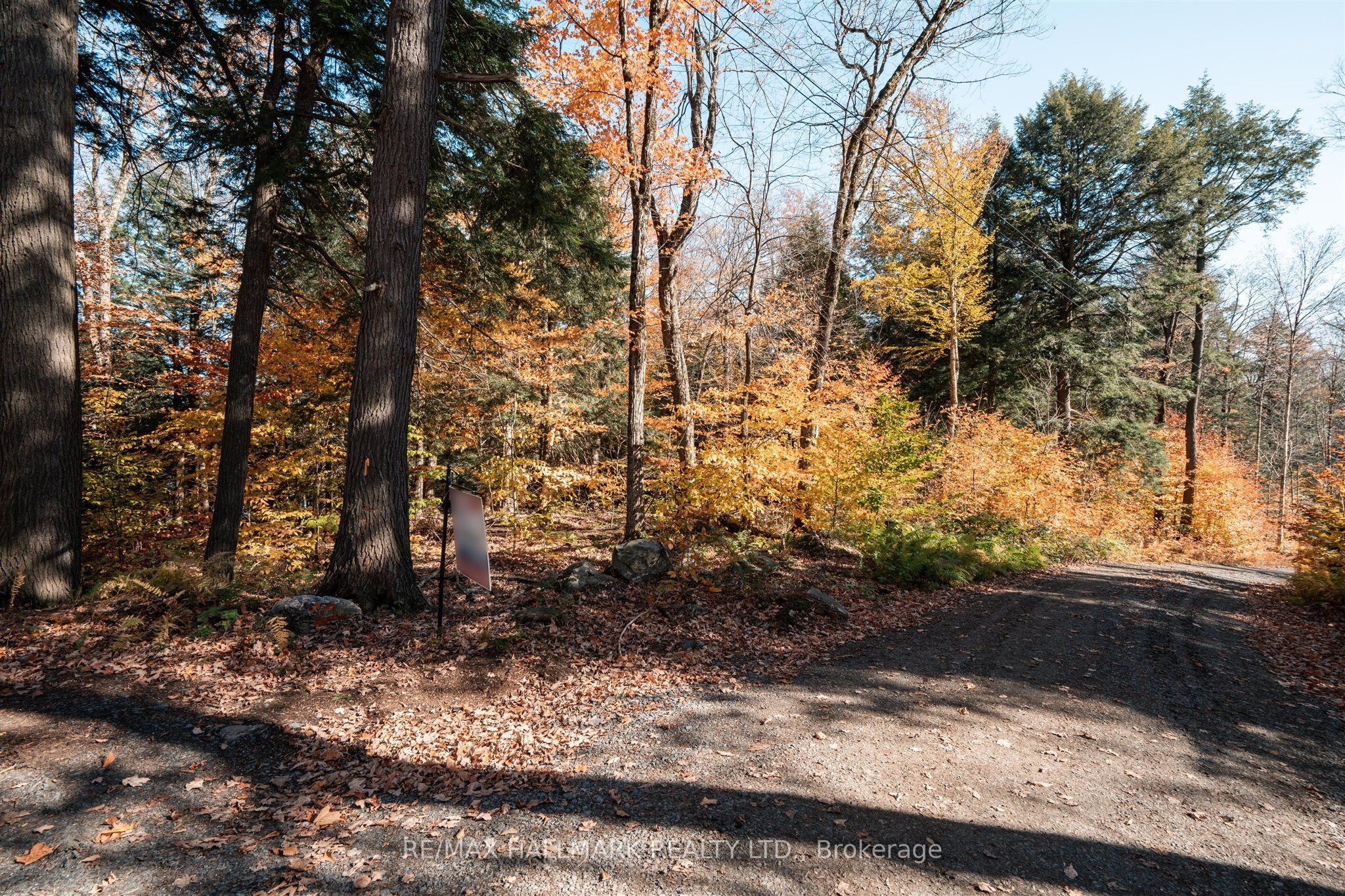 1310 Camel Lake Road Unit 11 Lot 5 Property Photo 9