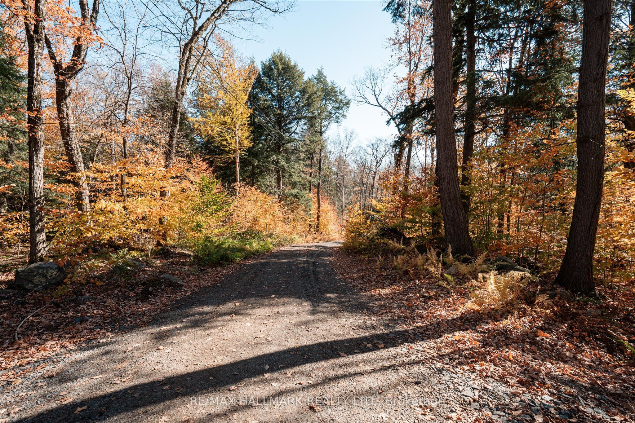 1310 Camel Lake Road Unit 11 Lot 5 Property Photo 10