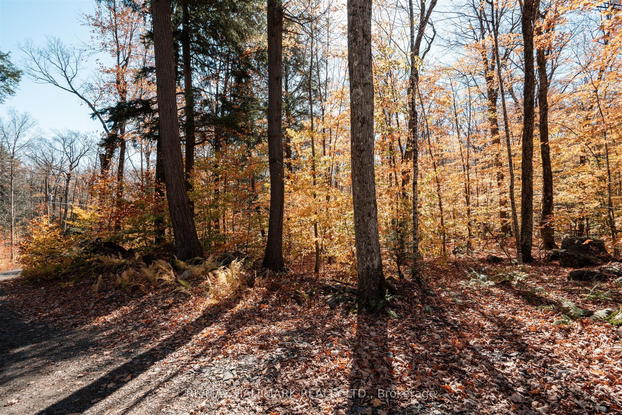 1310 Camel Lake Road Unit 11 Lot 5 Property Photo 11