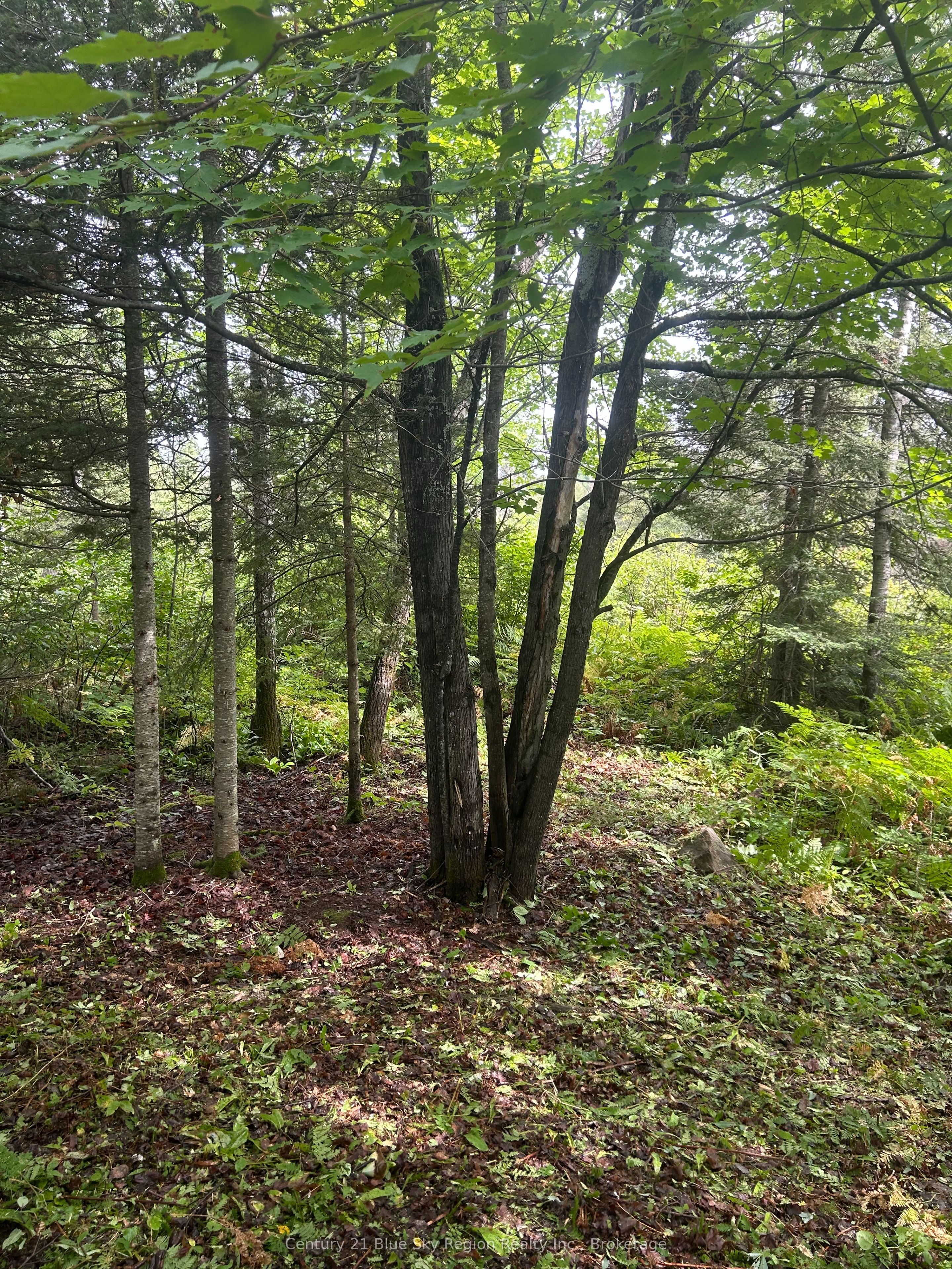 Part Lot 4 Highway 64 Property Photo 7