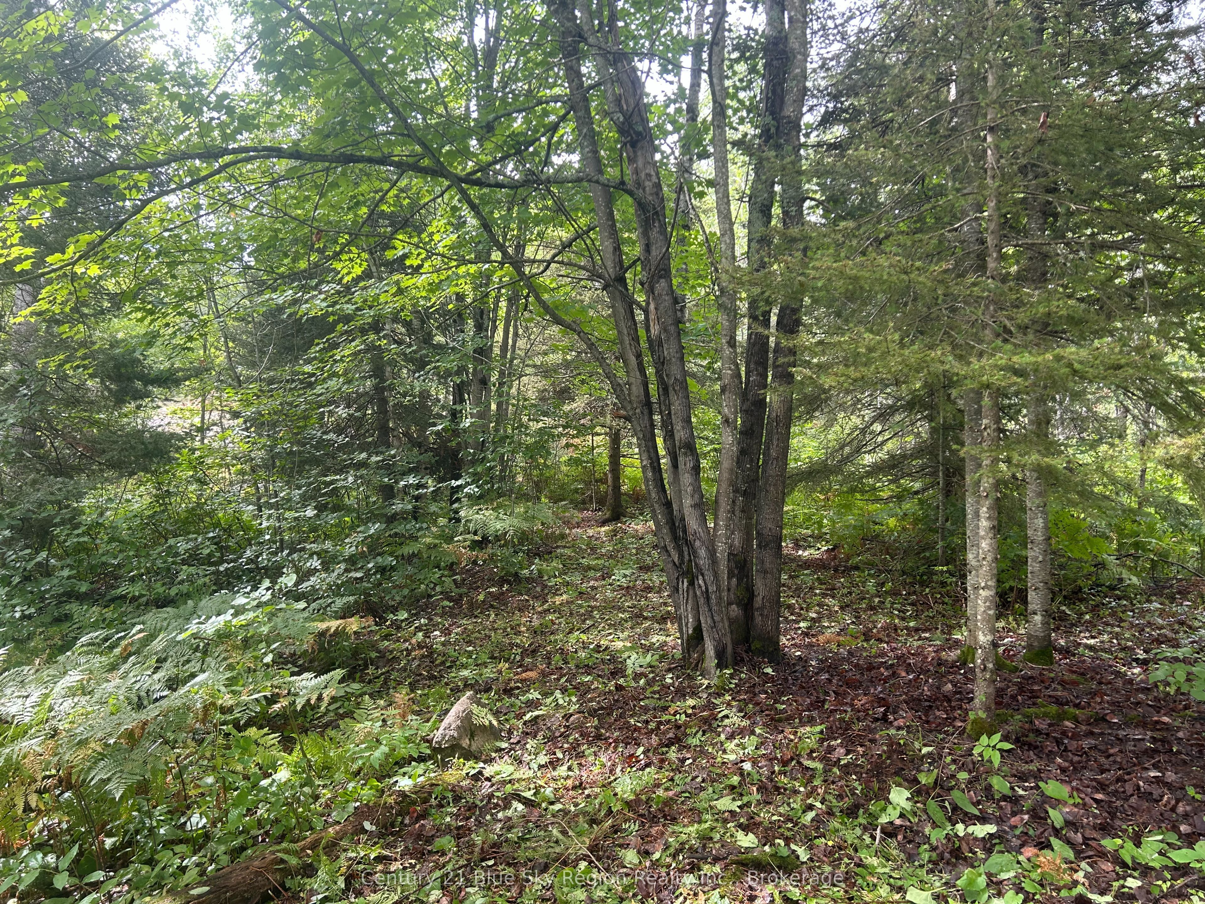 Part Lot 4 Highway 64 Property Photo 8