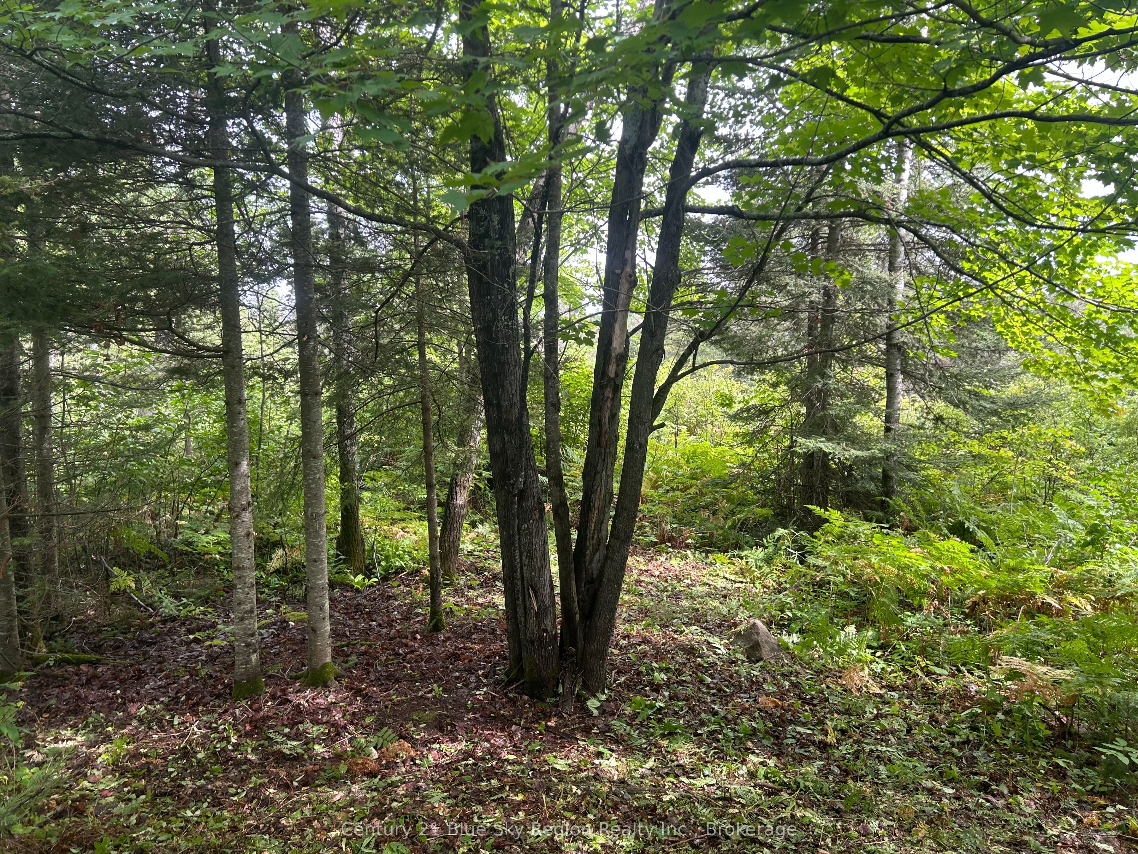 Part Lot 4 Highway 64 Property Photo 9