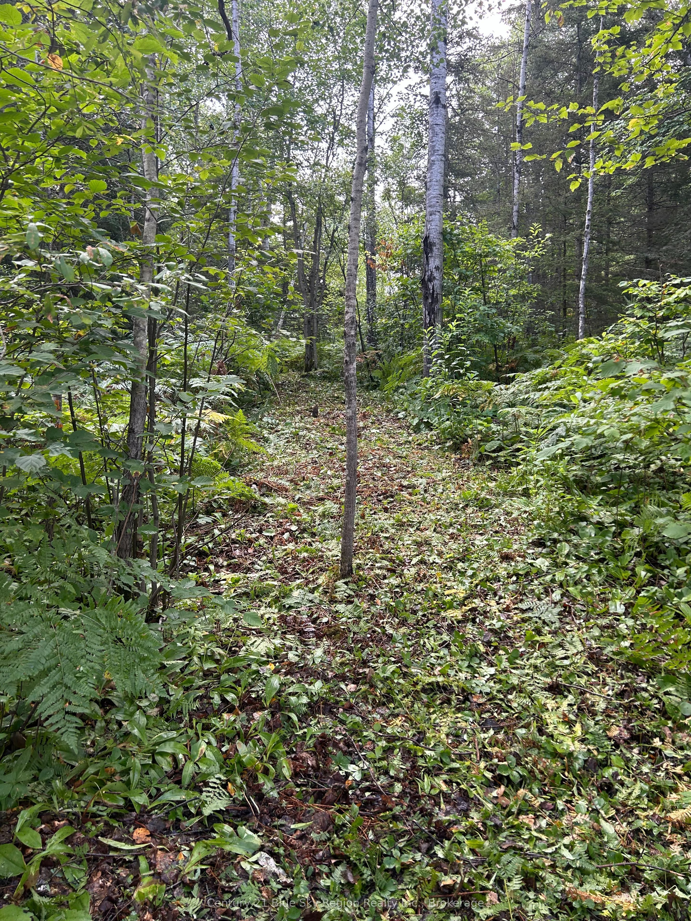 Part Lot 4 Highway 64 Property Photo 11