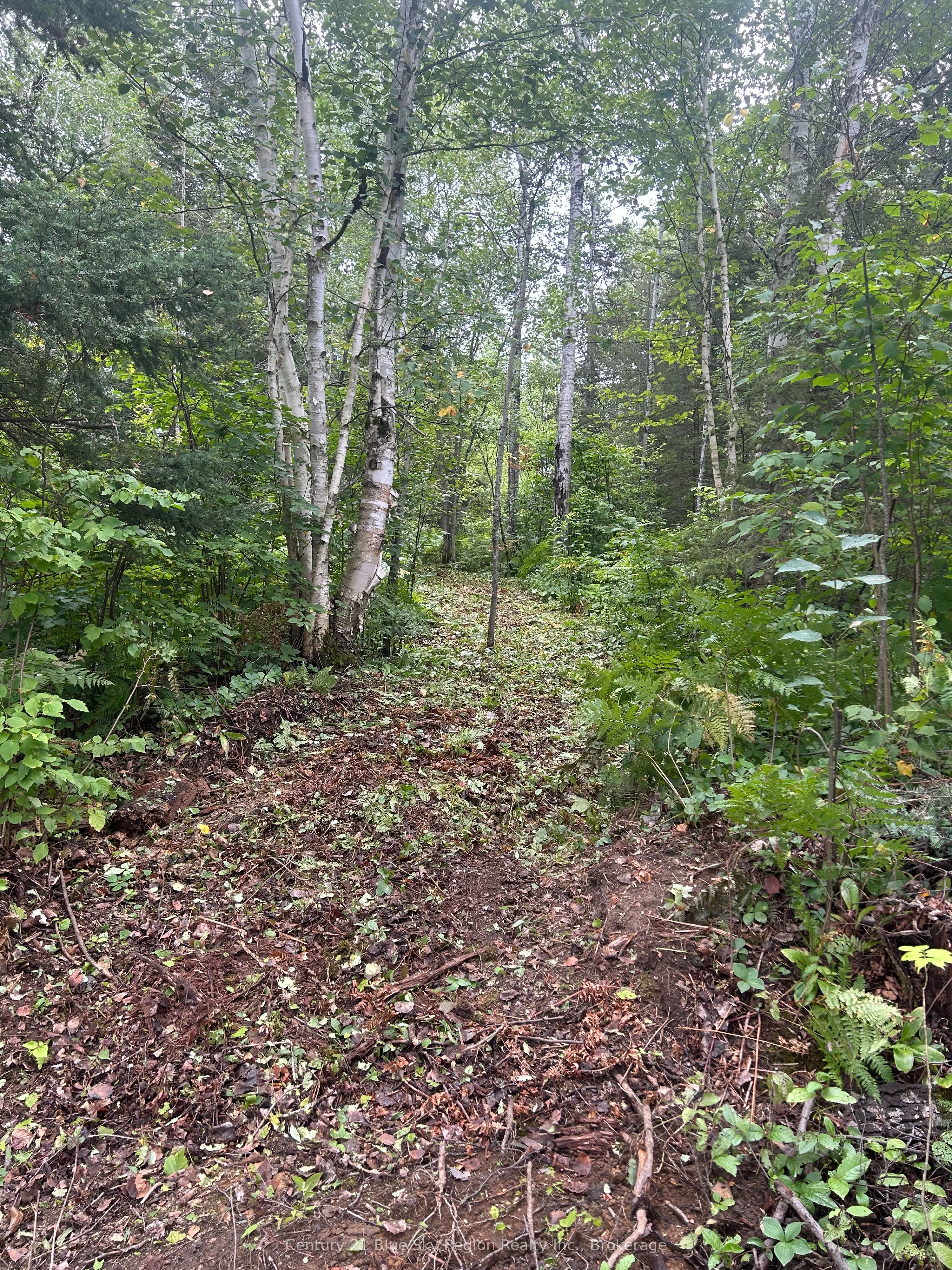 Part Lot 4 Highway 64 Property Photo 12